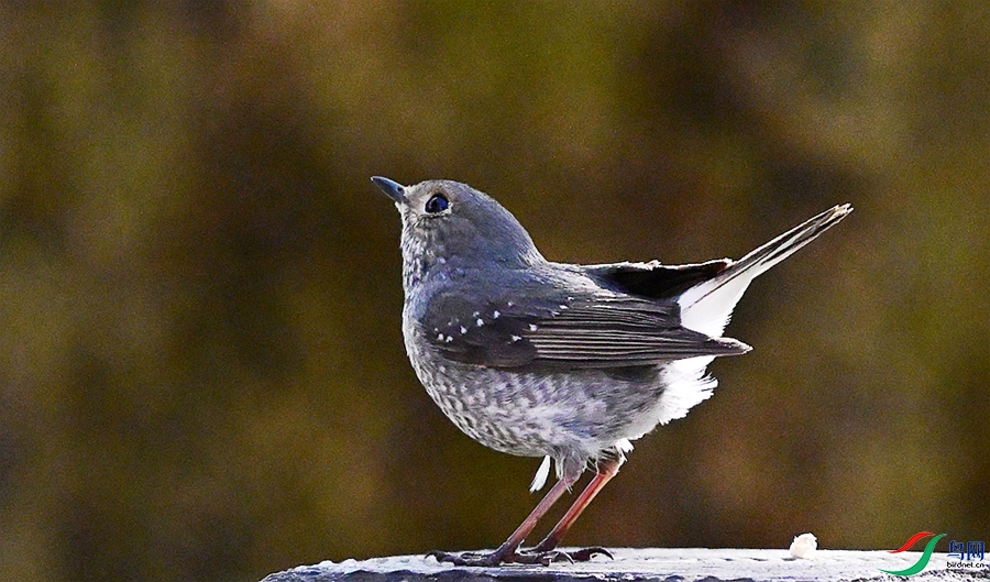 DSC_7563.JPG