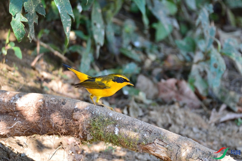DSC_6073.JPG