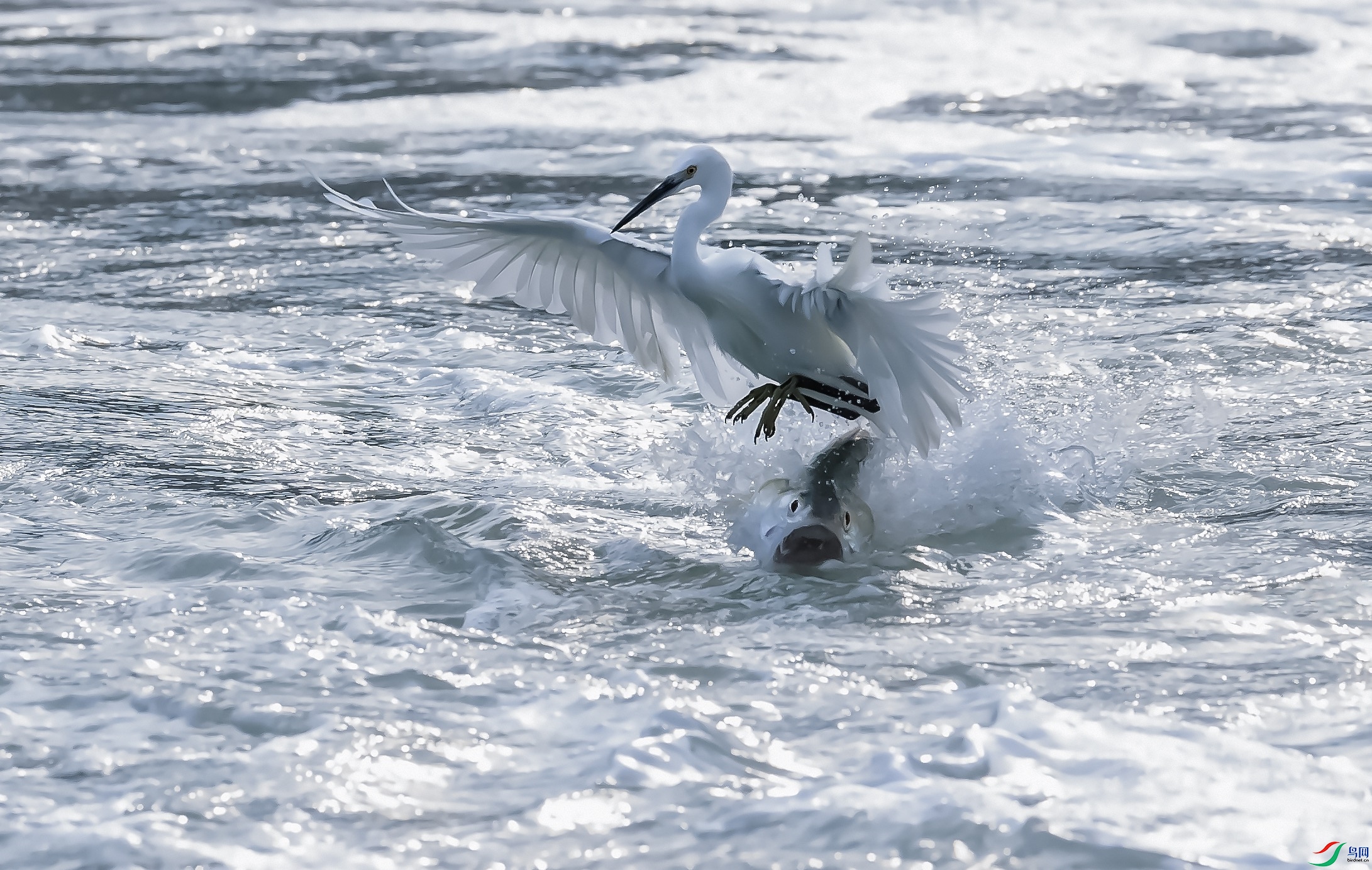 tempImage8qdH0O.jpg