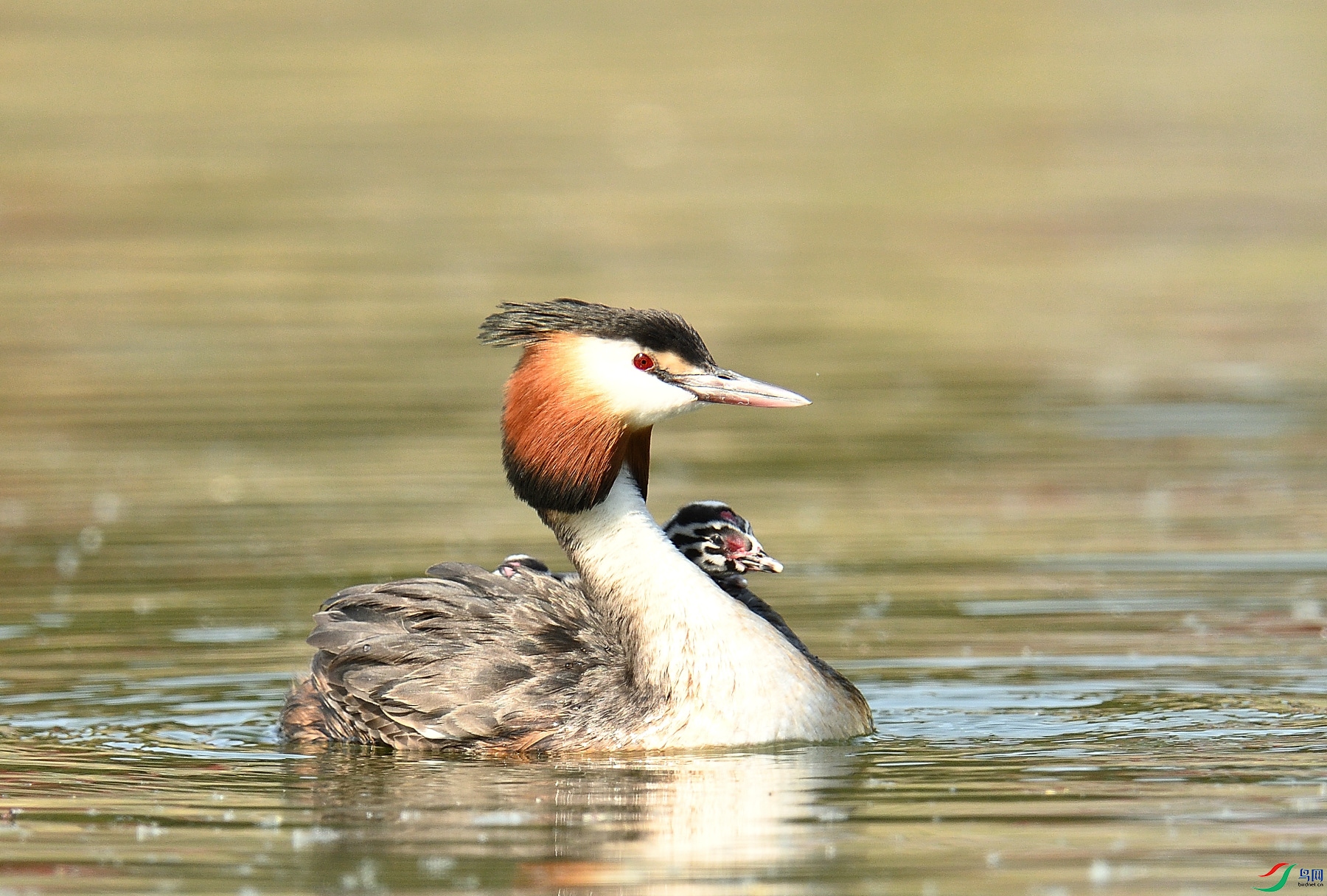 DSC_5896.JPG
