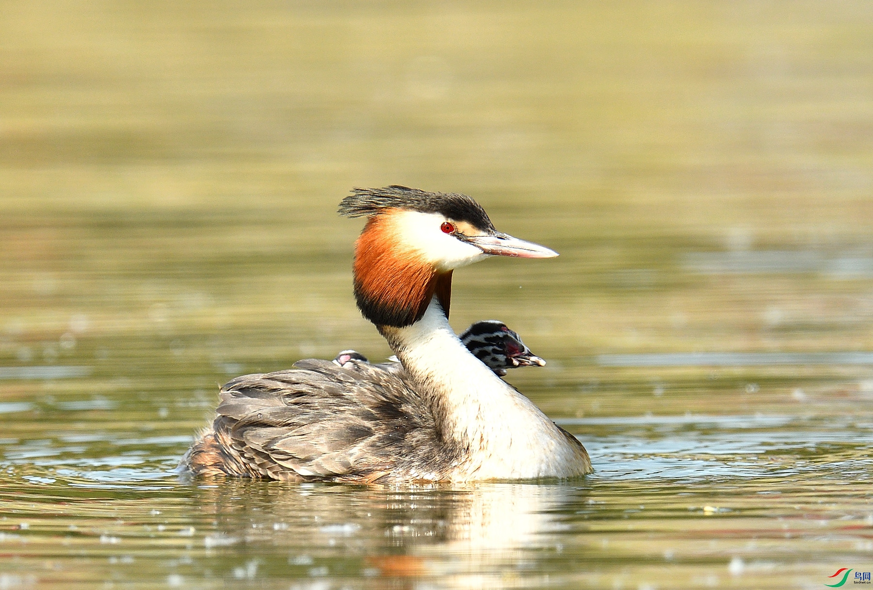 DSC_5897.JPG