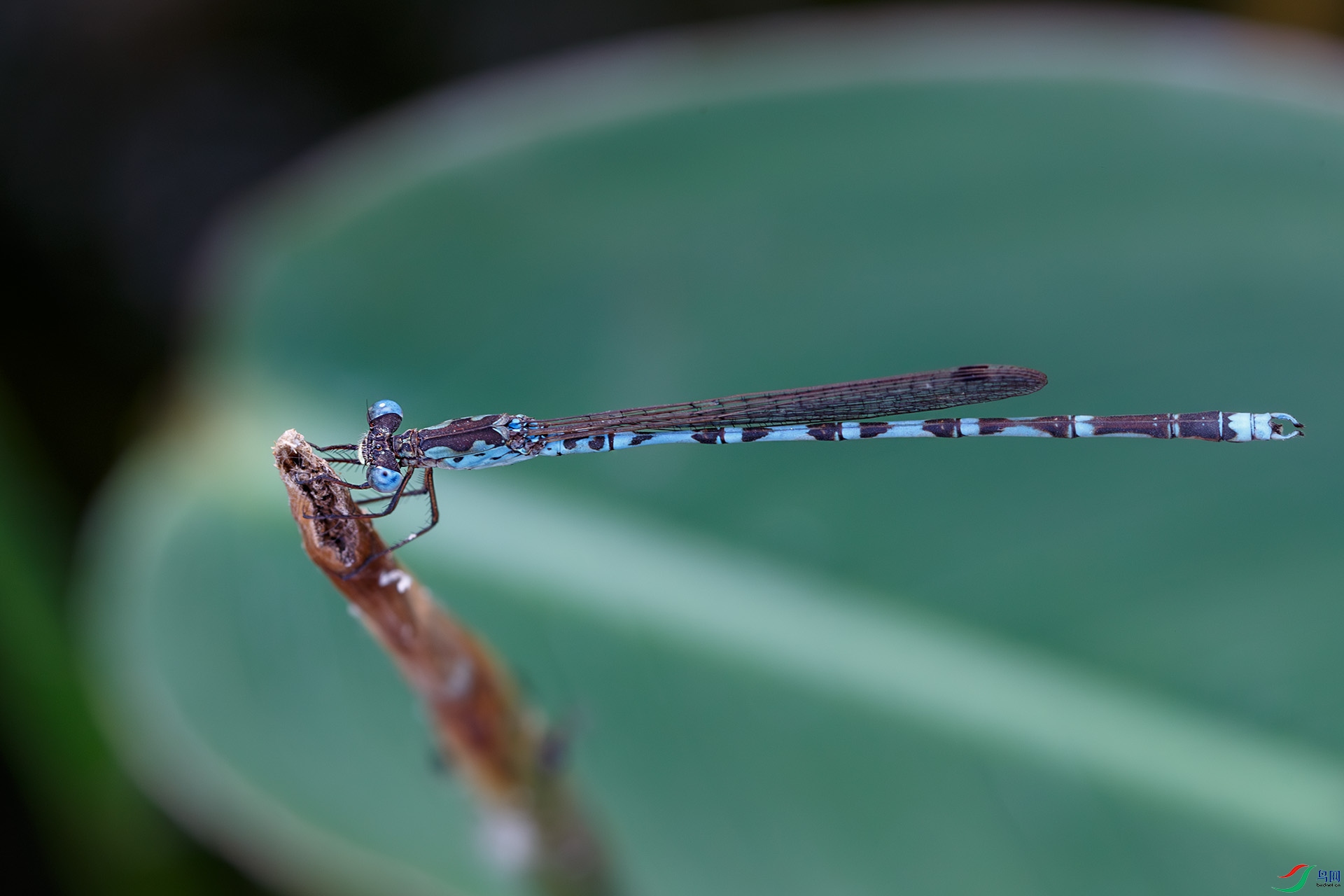 N38A9489-����ǿ-NR.jpg