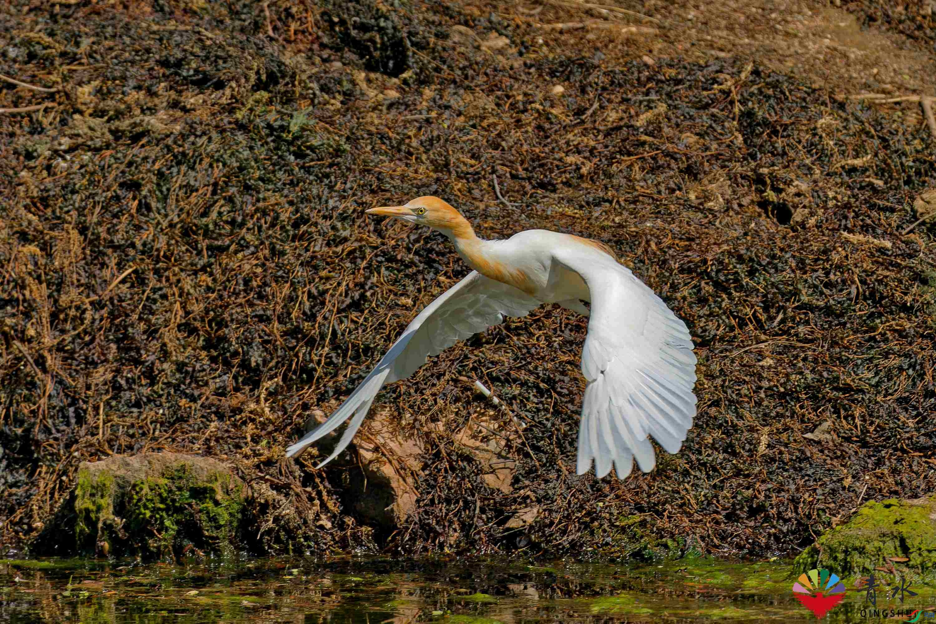 DSC02123_DxO.jpg