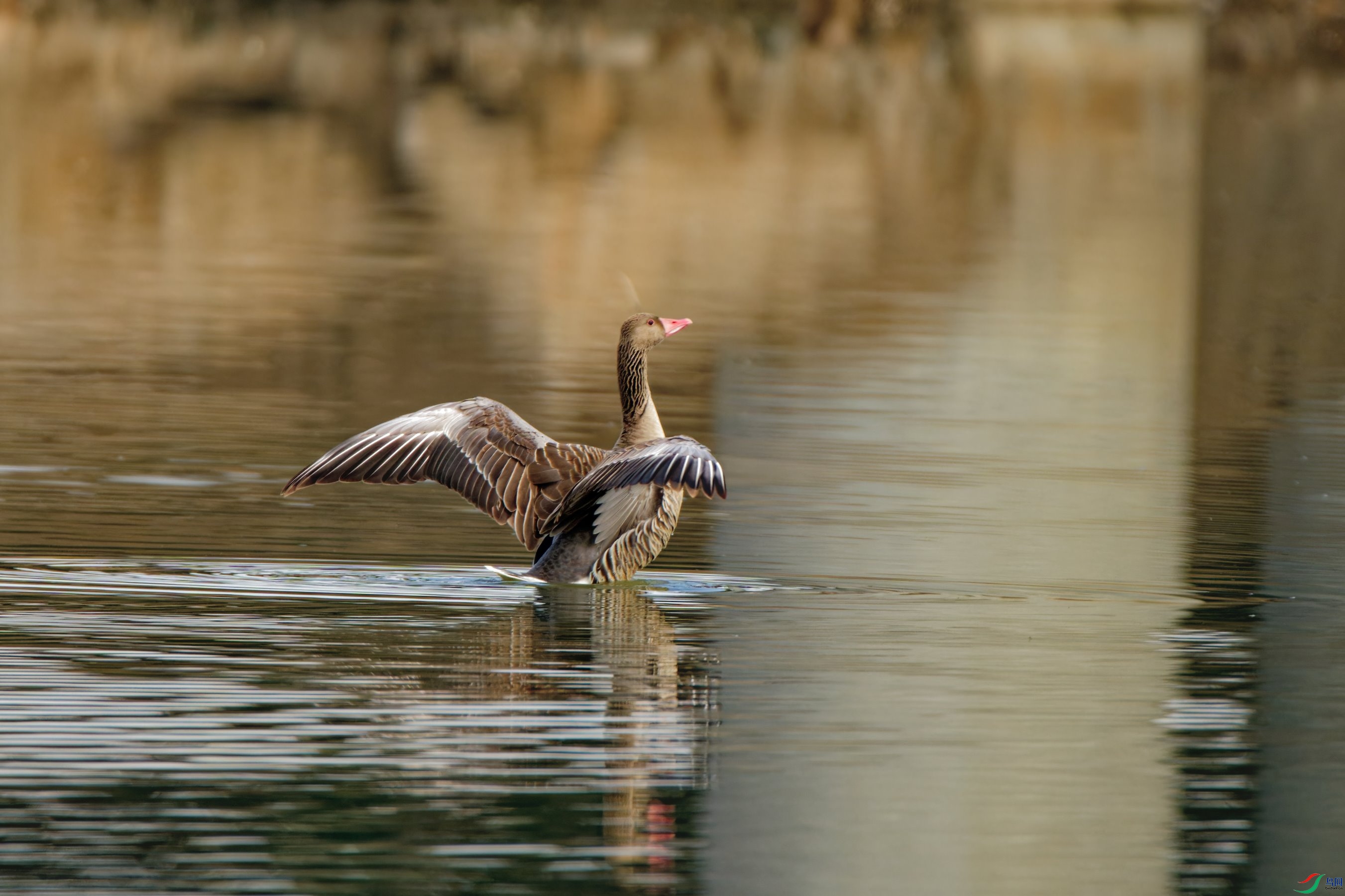 DSC01340_DxO.jpg