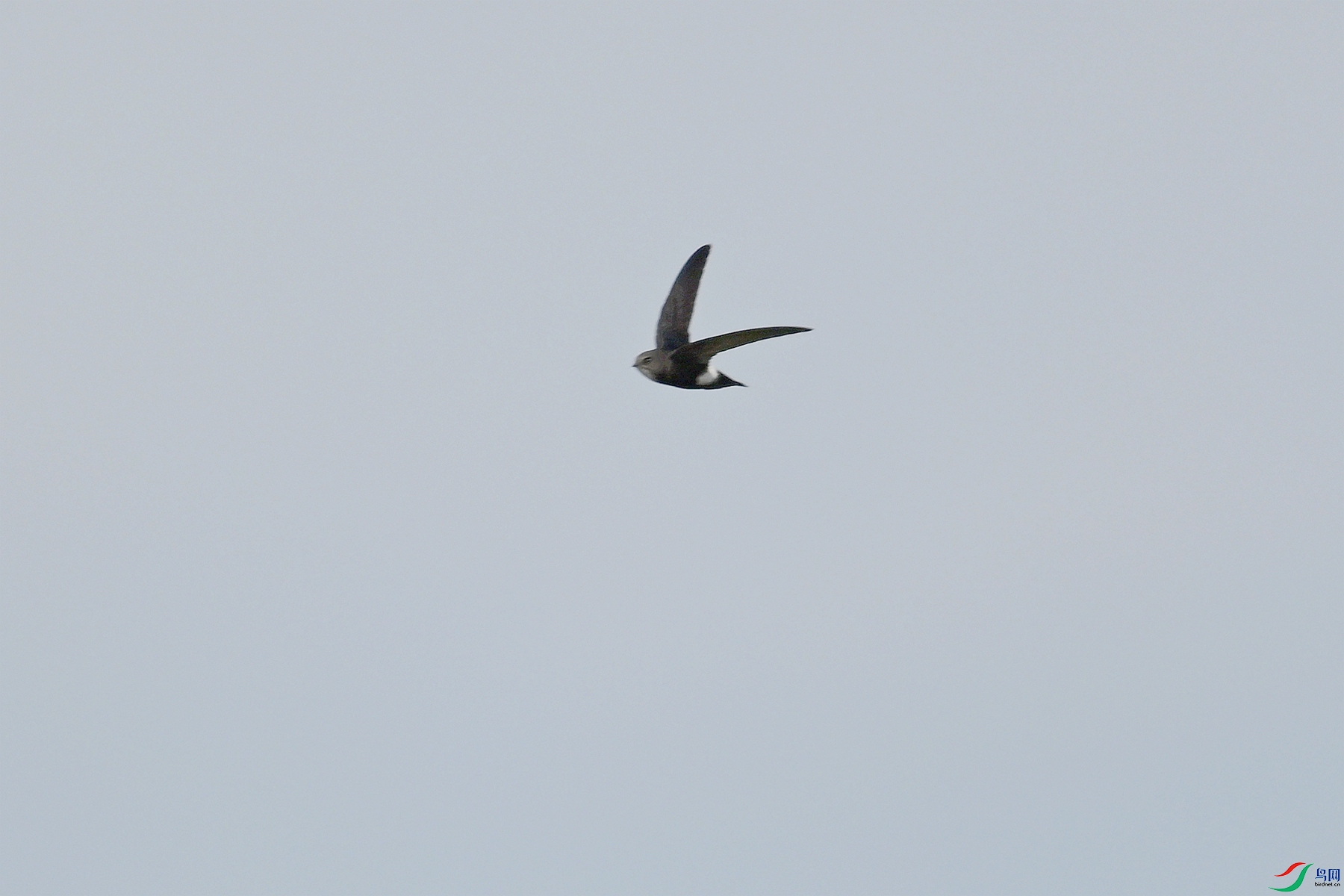 DSC_8025.JPG