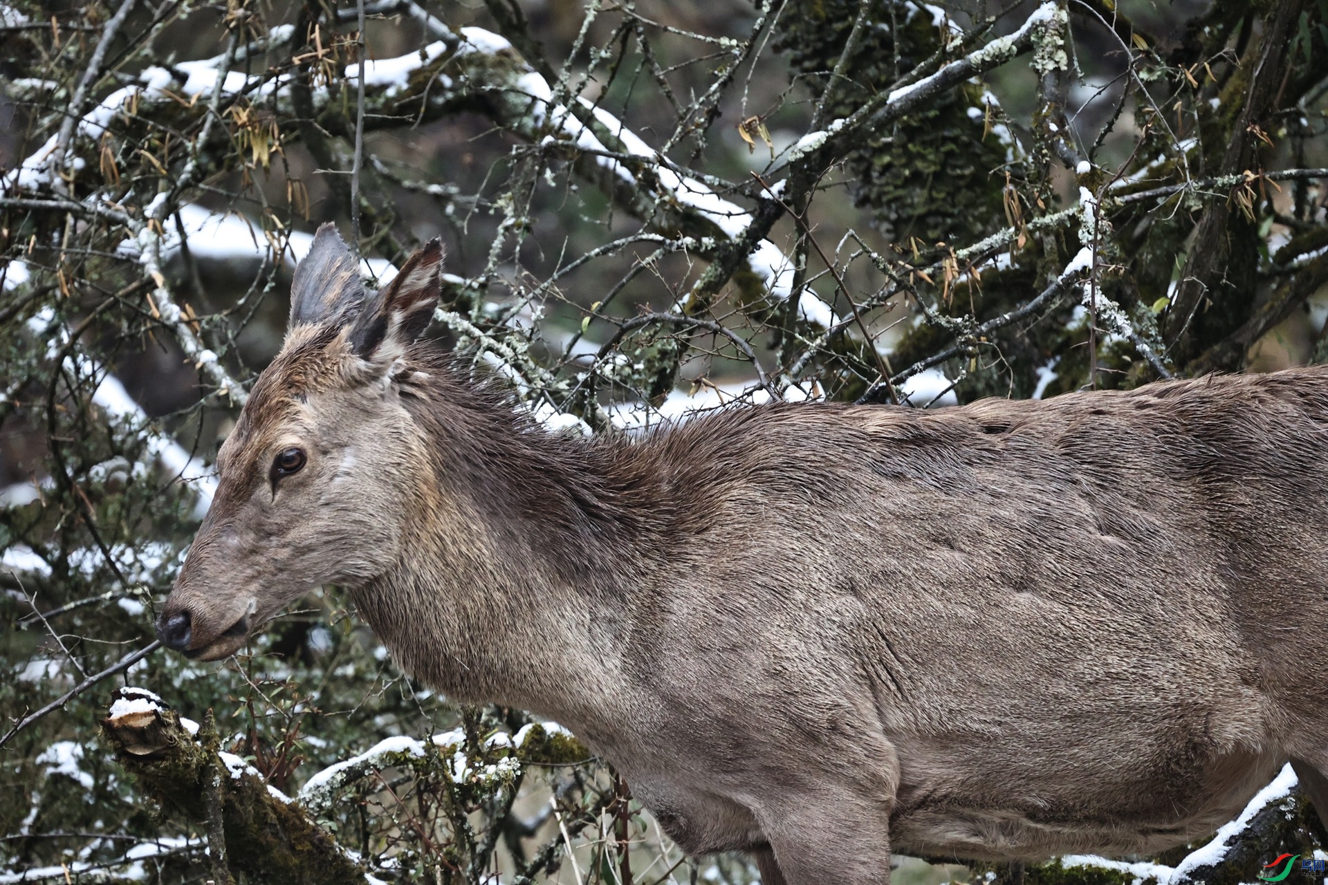 H25A7265_����.jpg