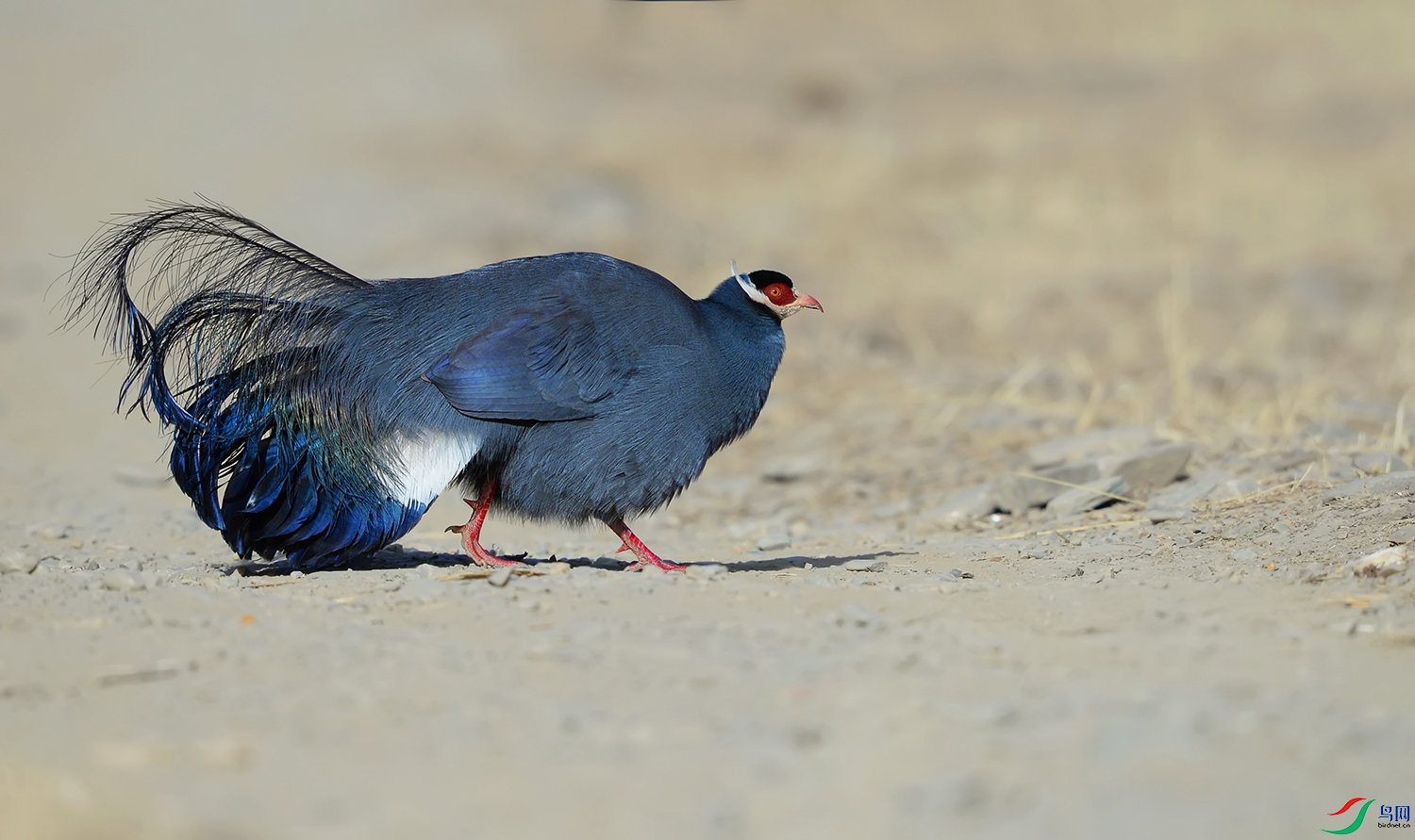 DSC_3520.jpg