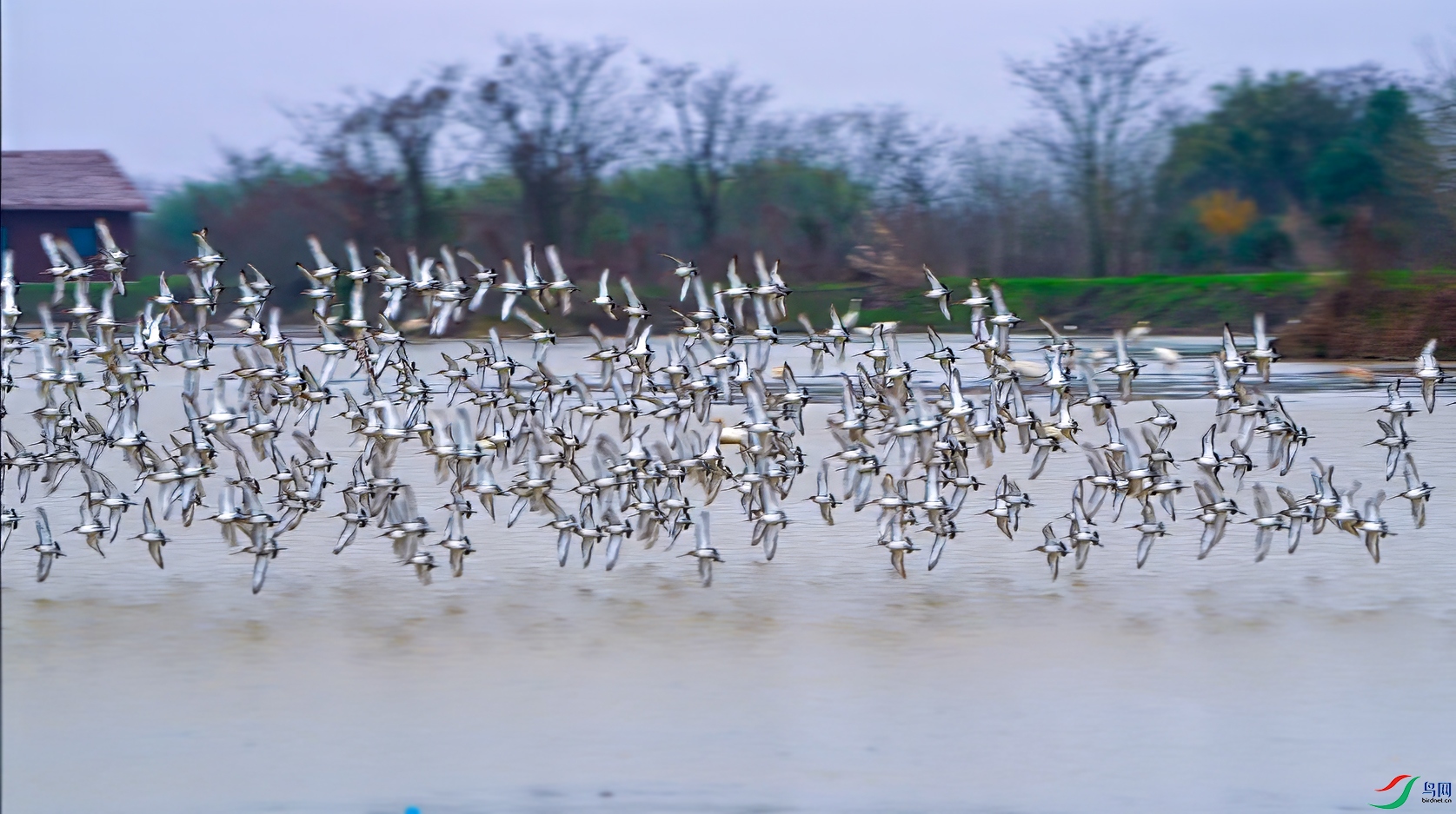 ΢��ͼƬ_20250408160624 ����.jpg