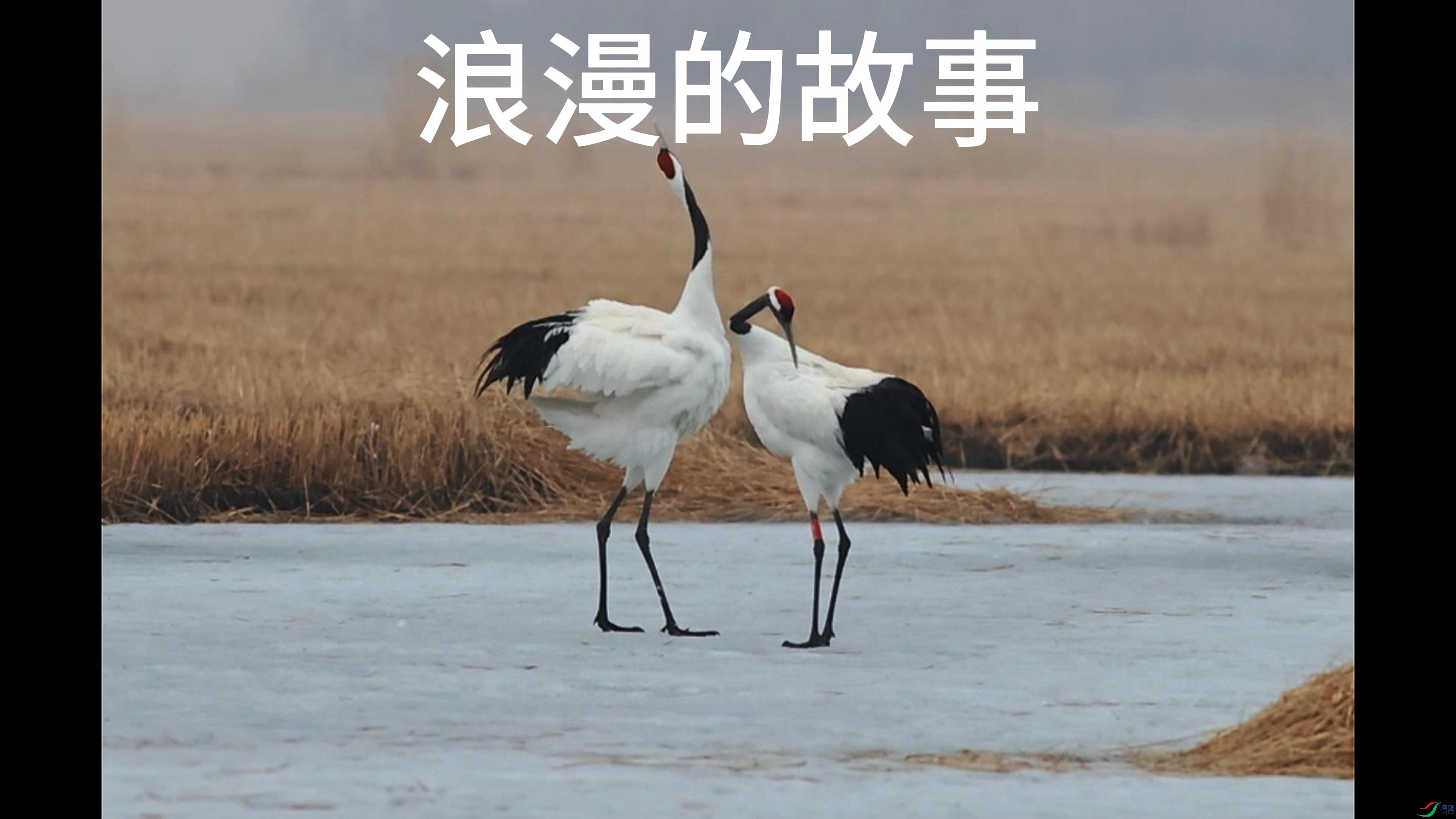 4��10�� (1)-����.jpg