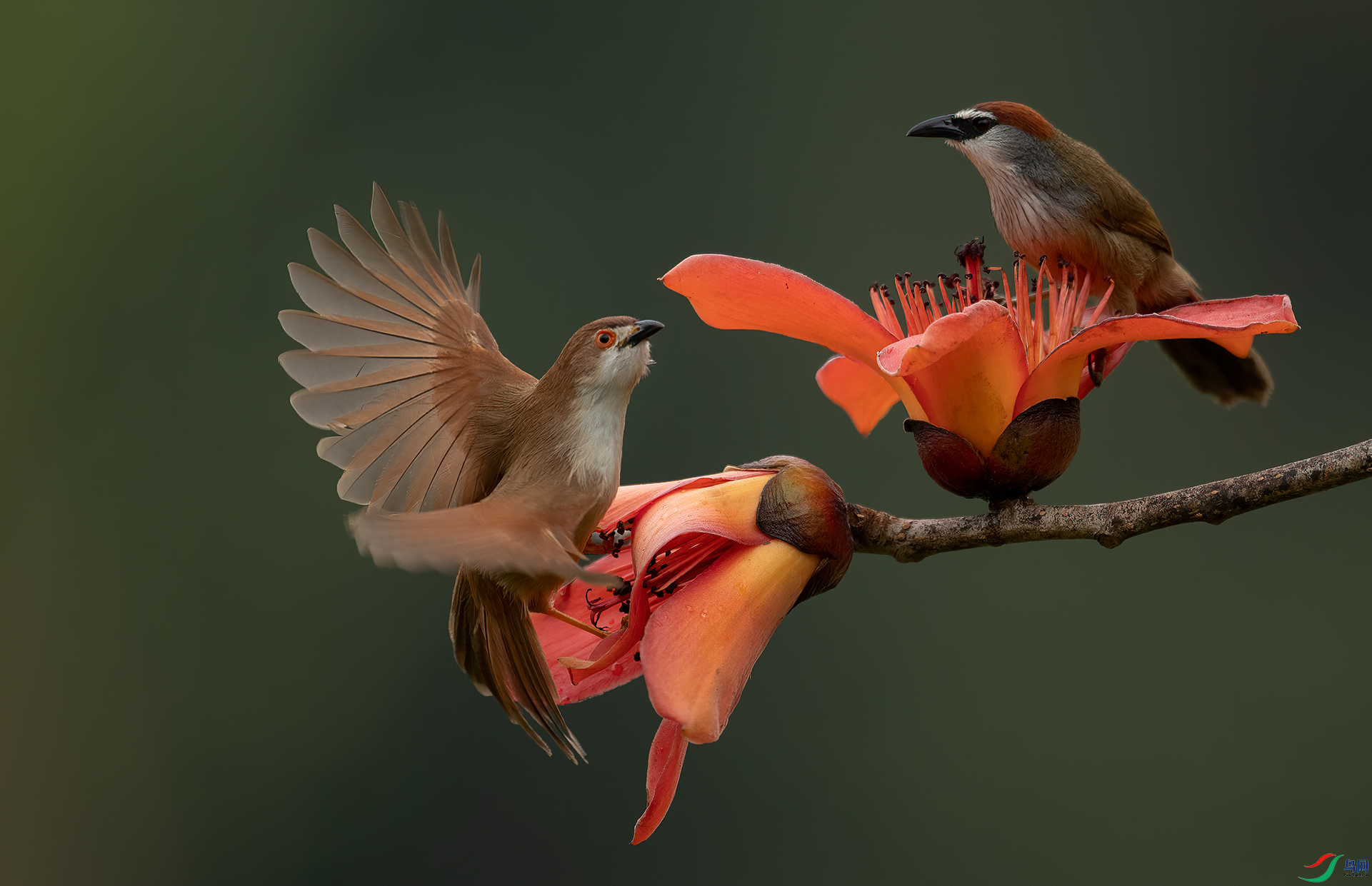 DSC_0648.png