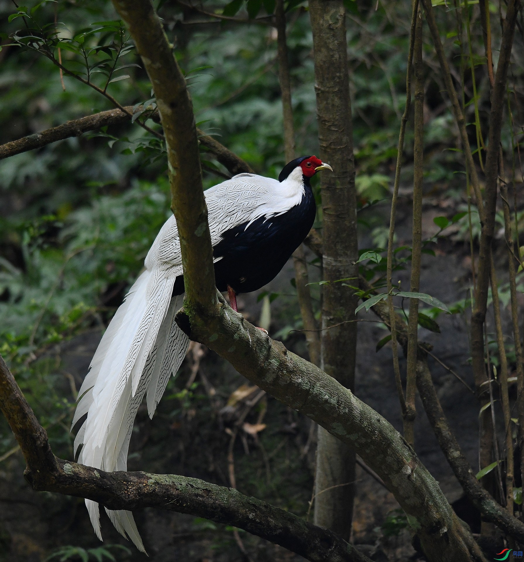 DSC_0891.jpg