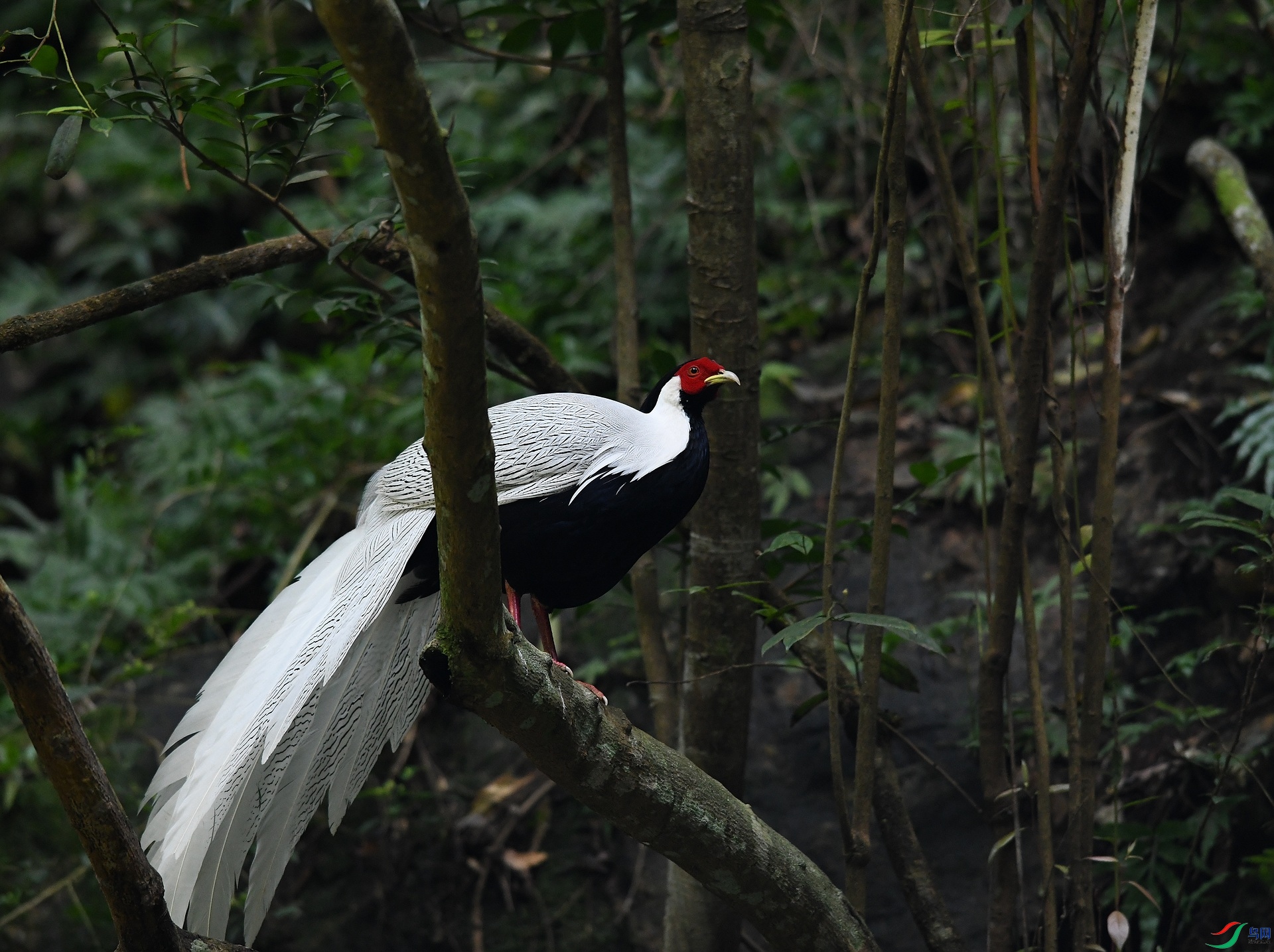 DSC_0791.jpg