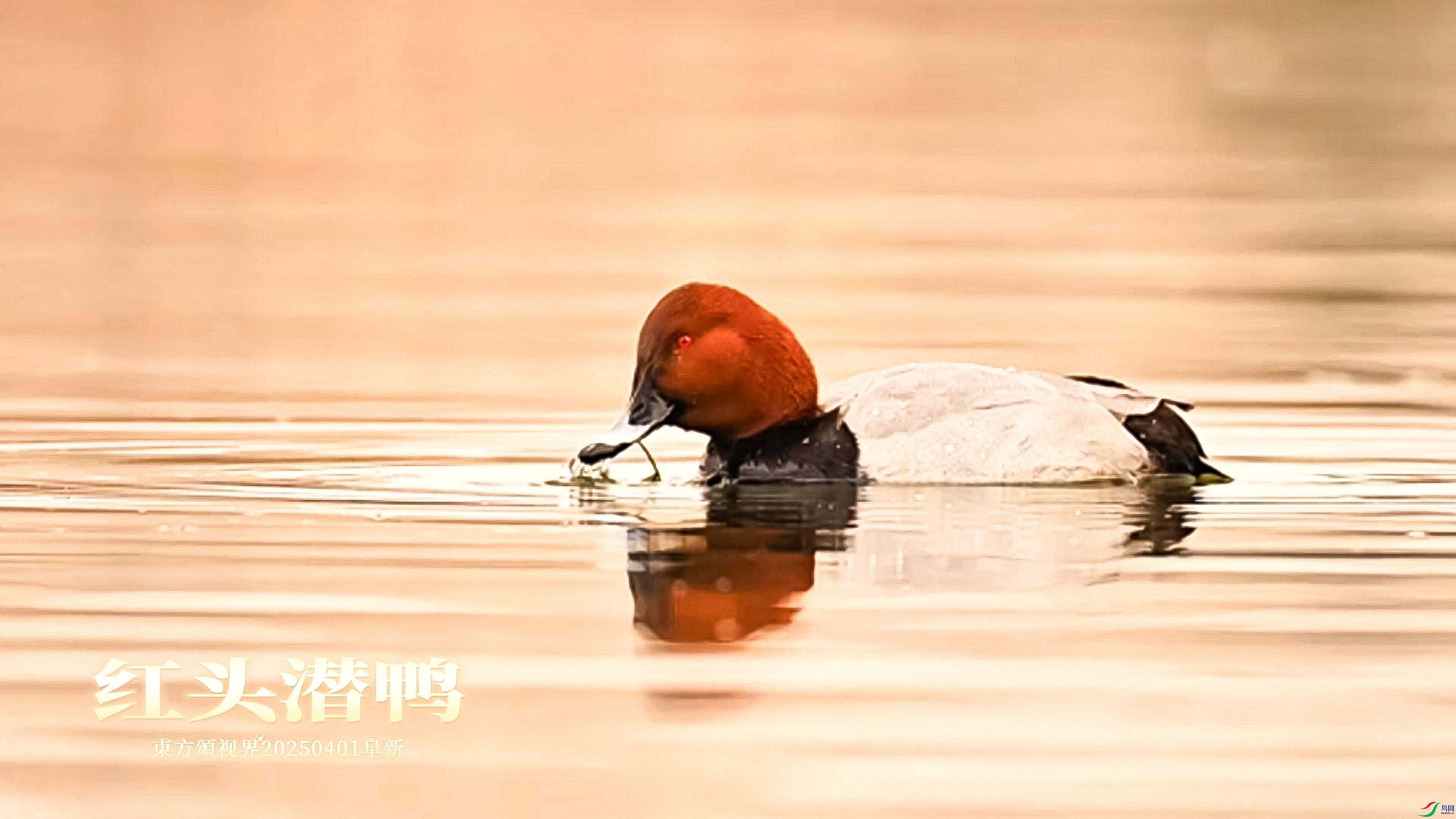 4��3�� ��ͷǱѼ-����.jpg