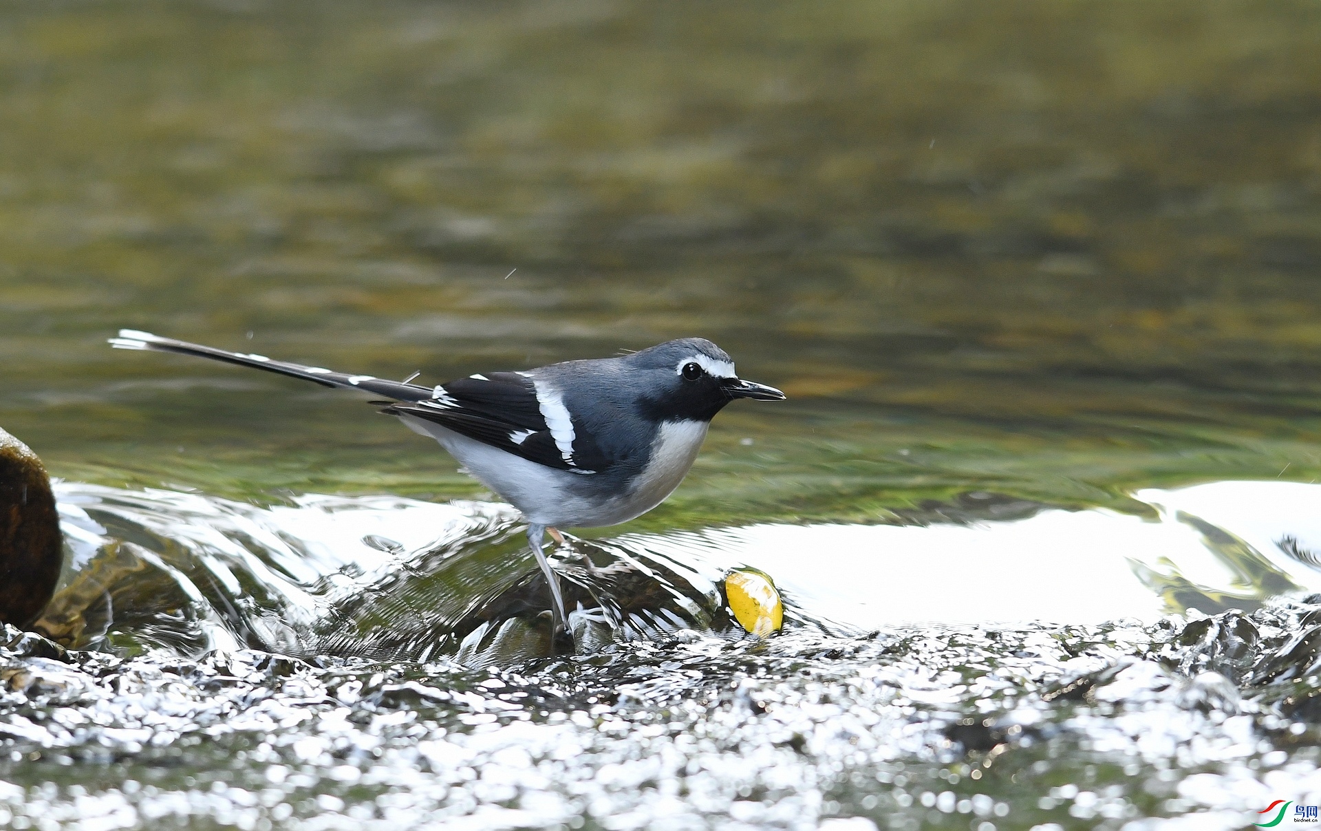 DSC_0125.jpg
