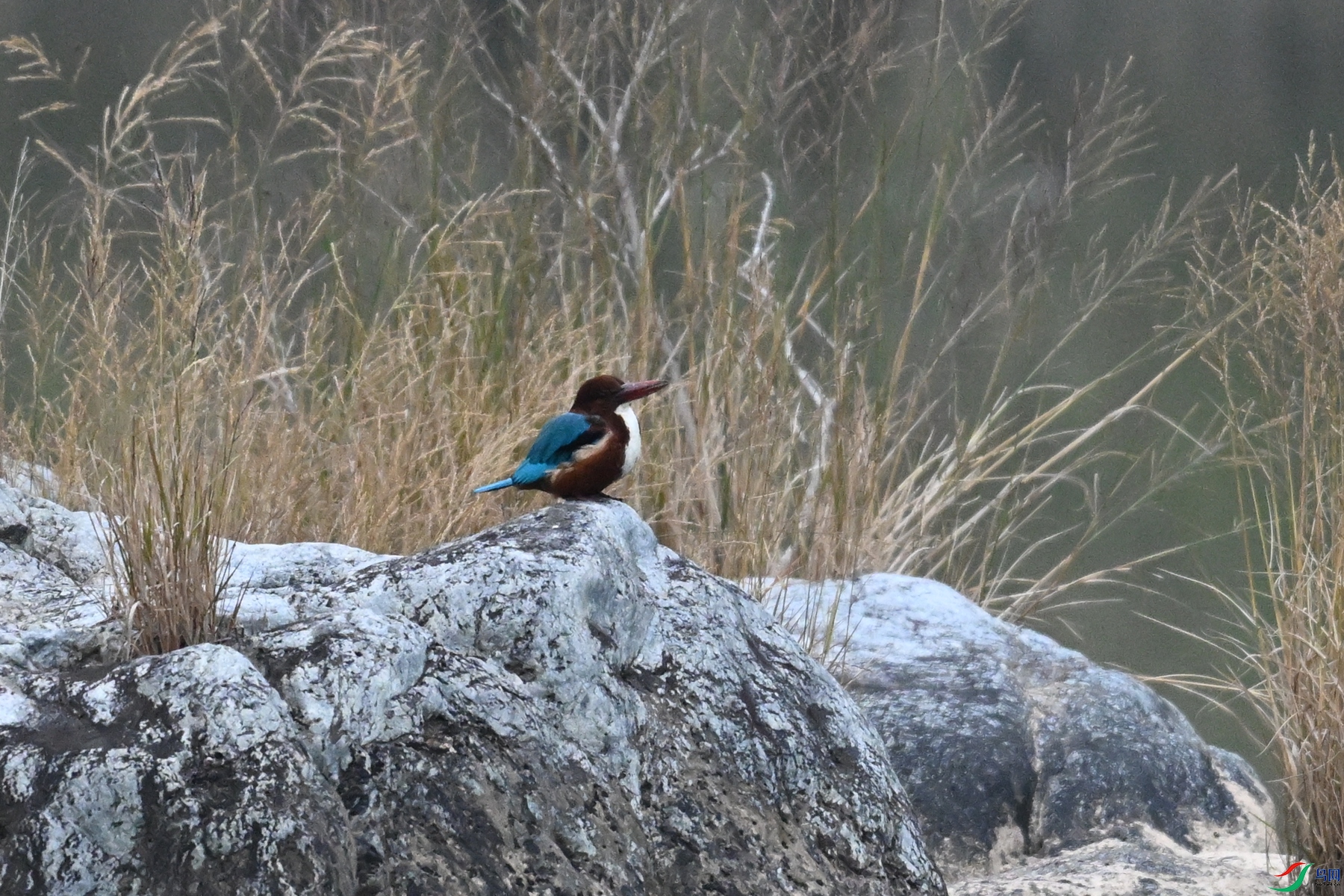 DSC_6678.JPG