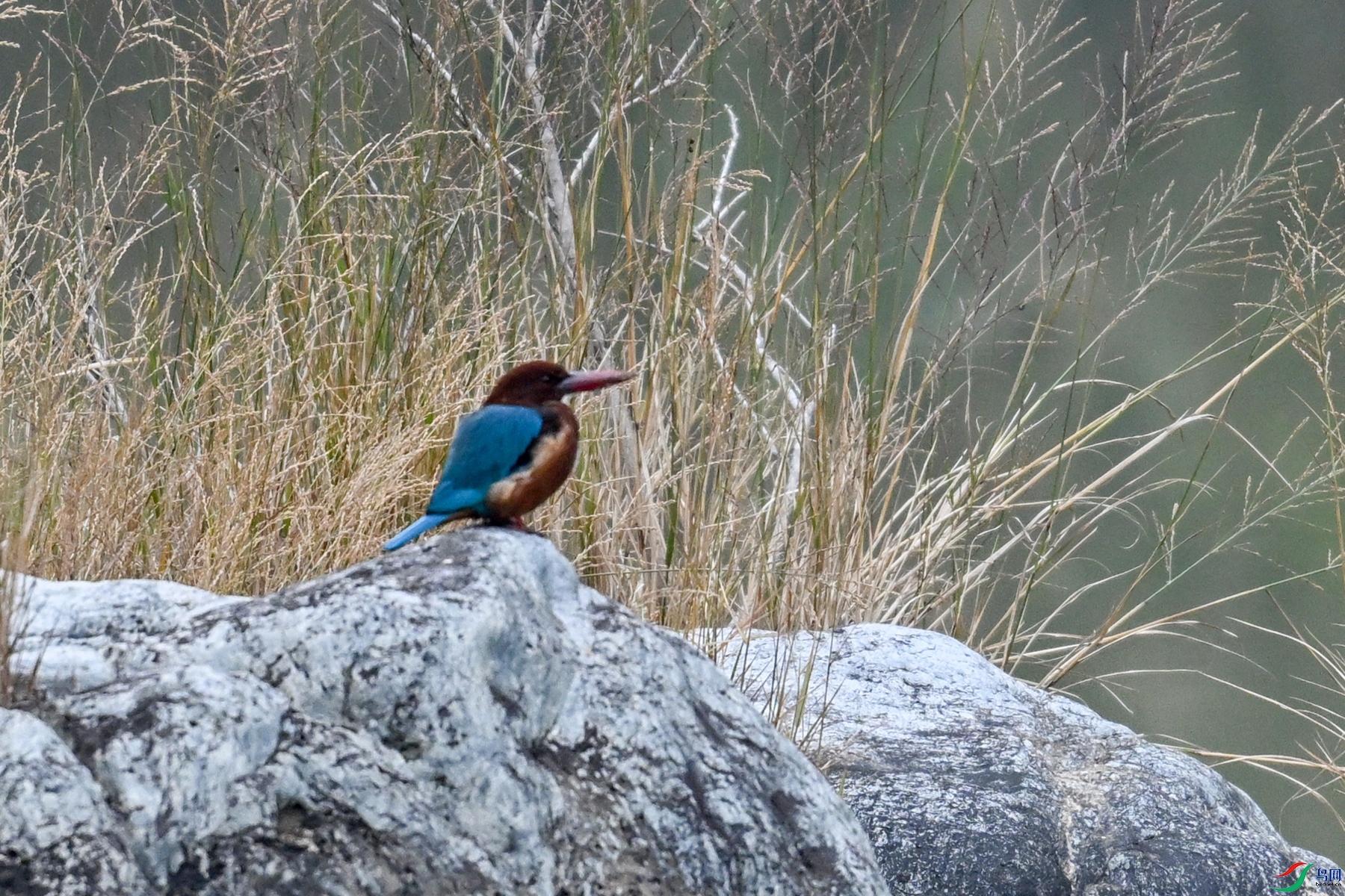DSC_6695.JPG