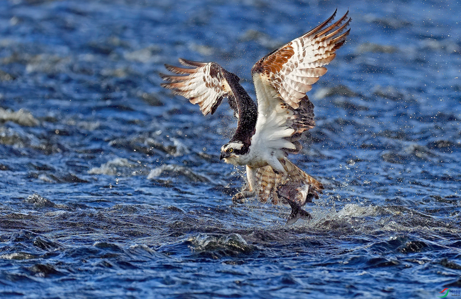 DSC04396--.jpg