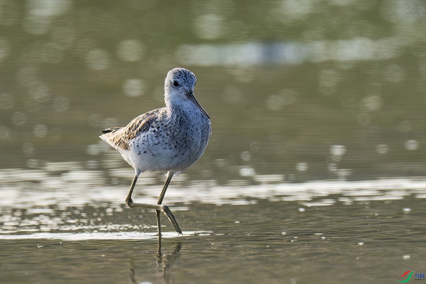 ˮ�е�����