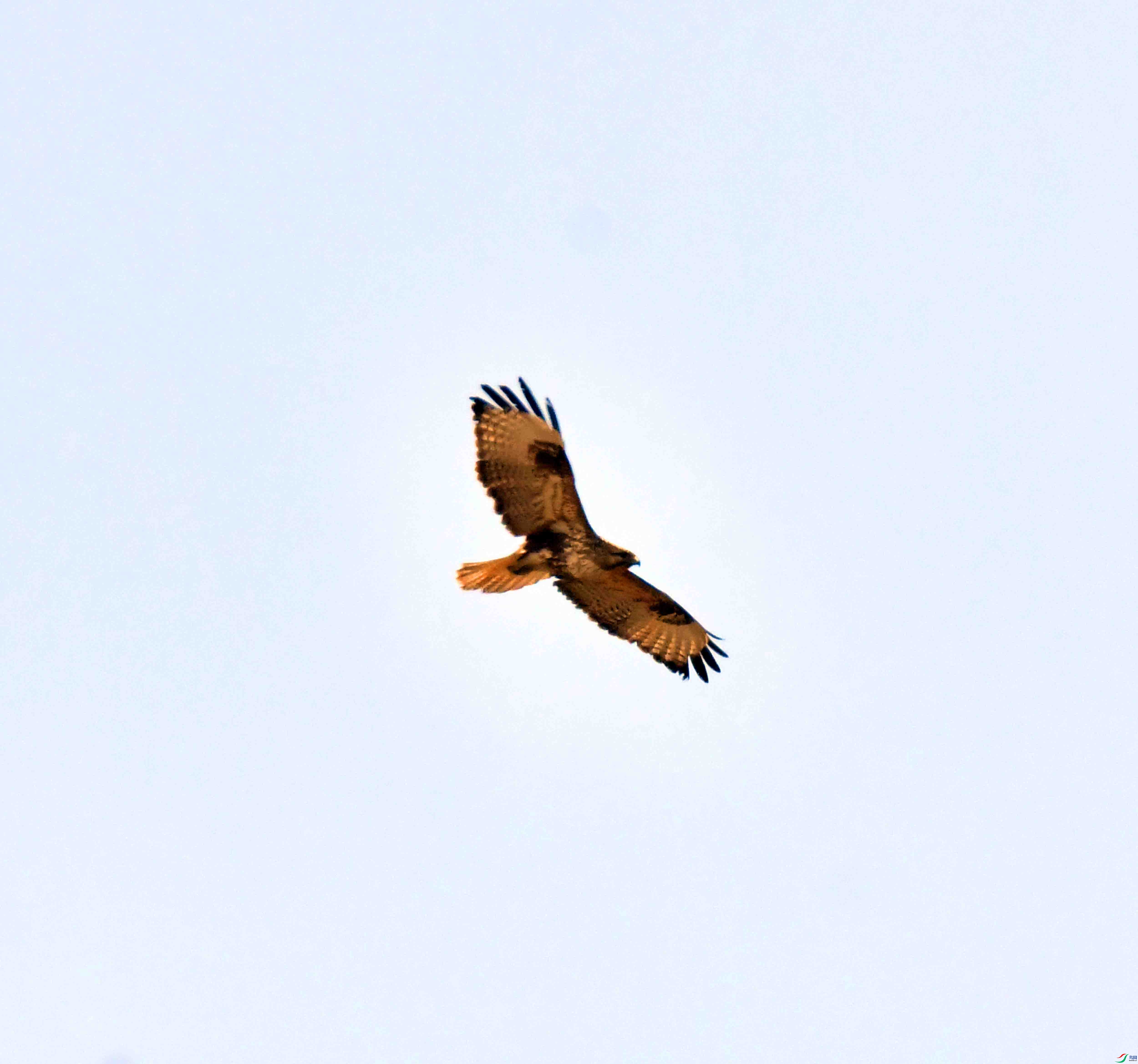 DSC_0750.JPG