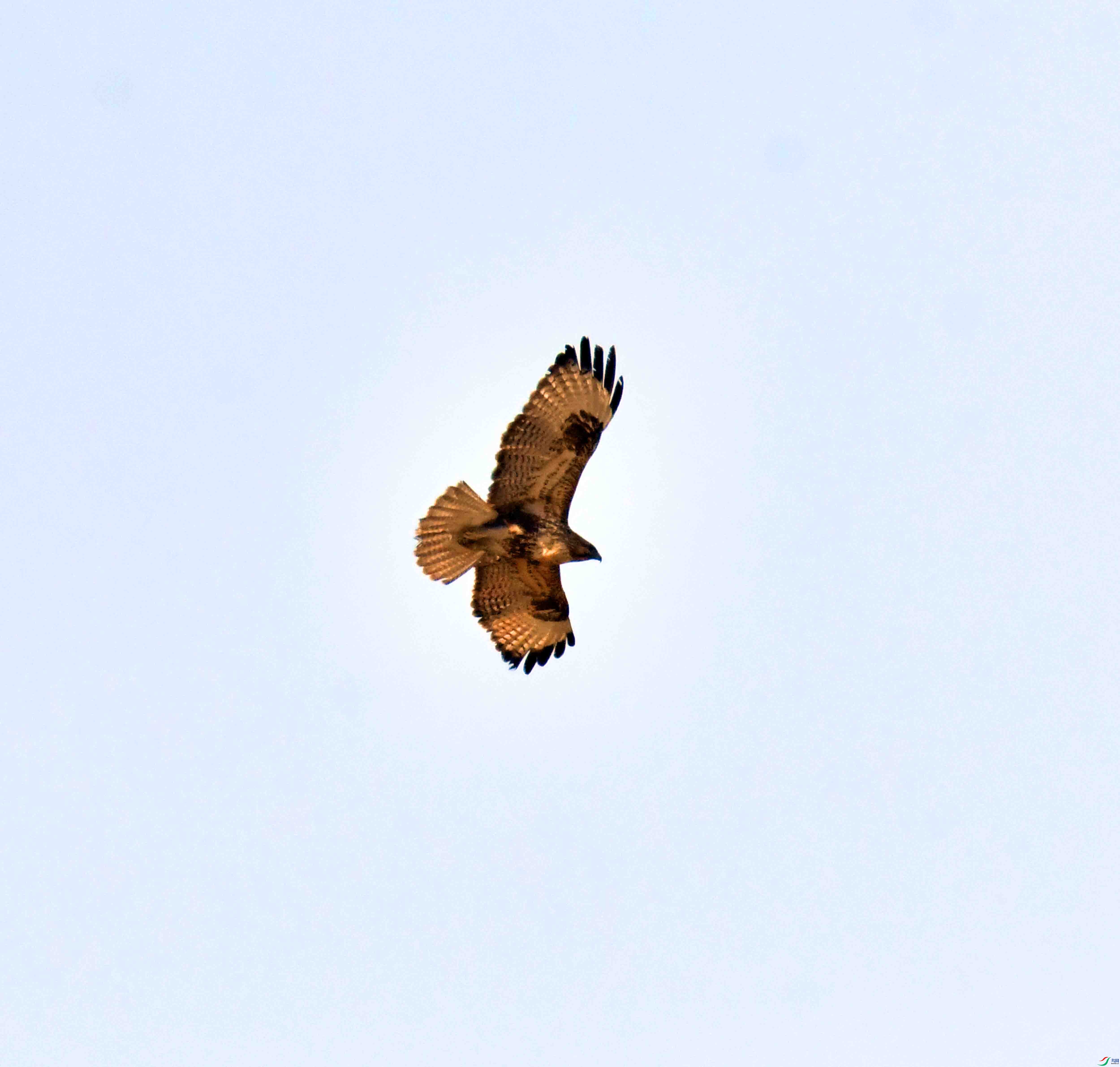 DSC_0751.JPG