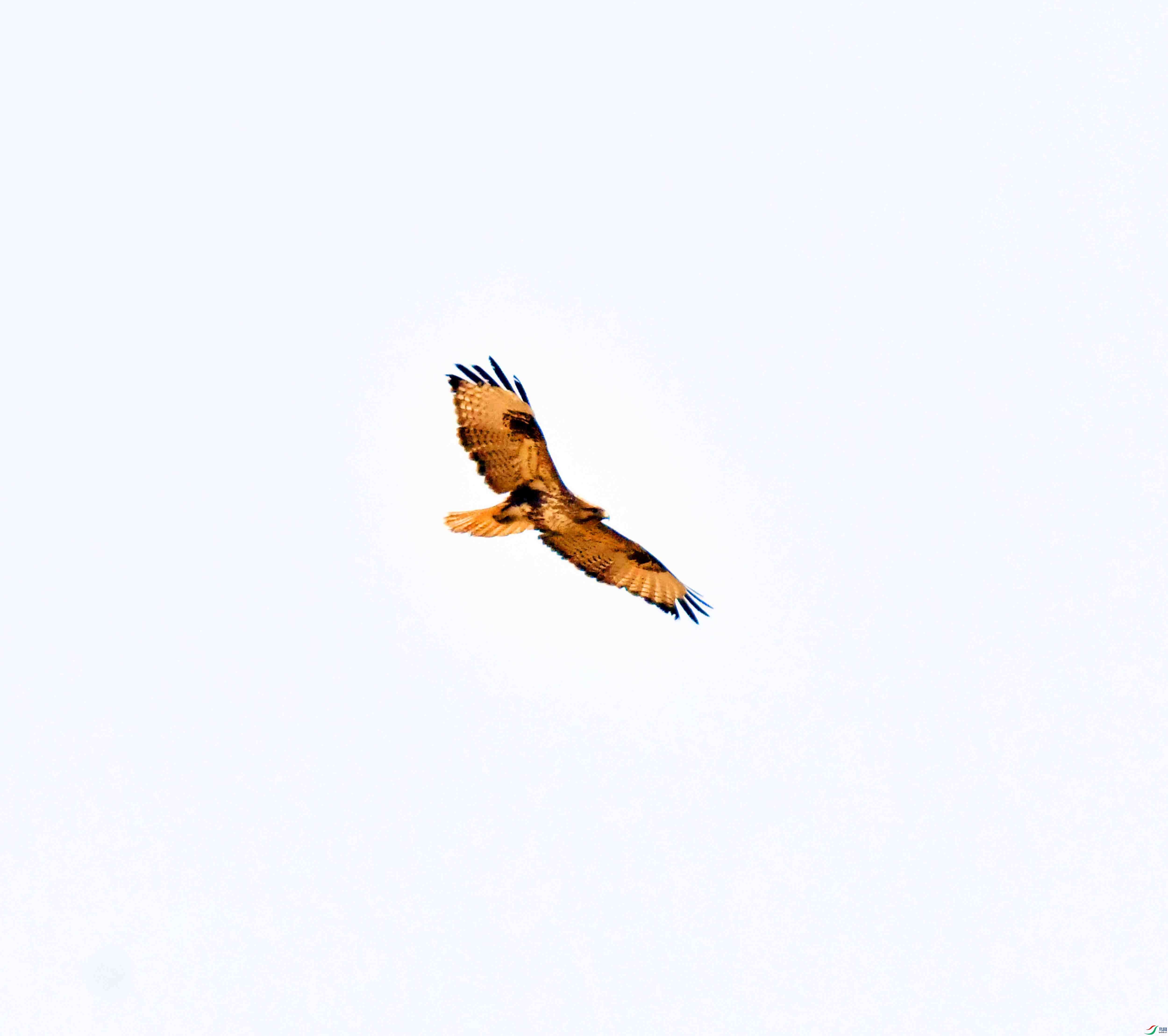 DSC_0749.JPG