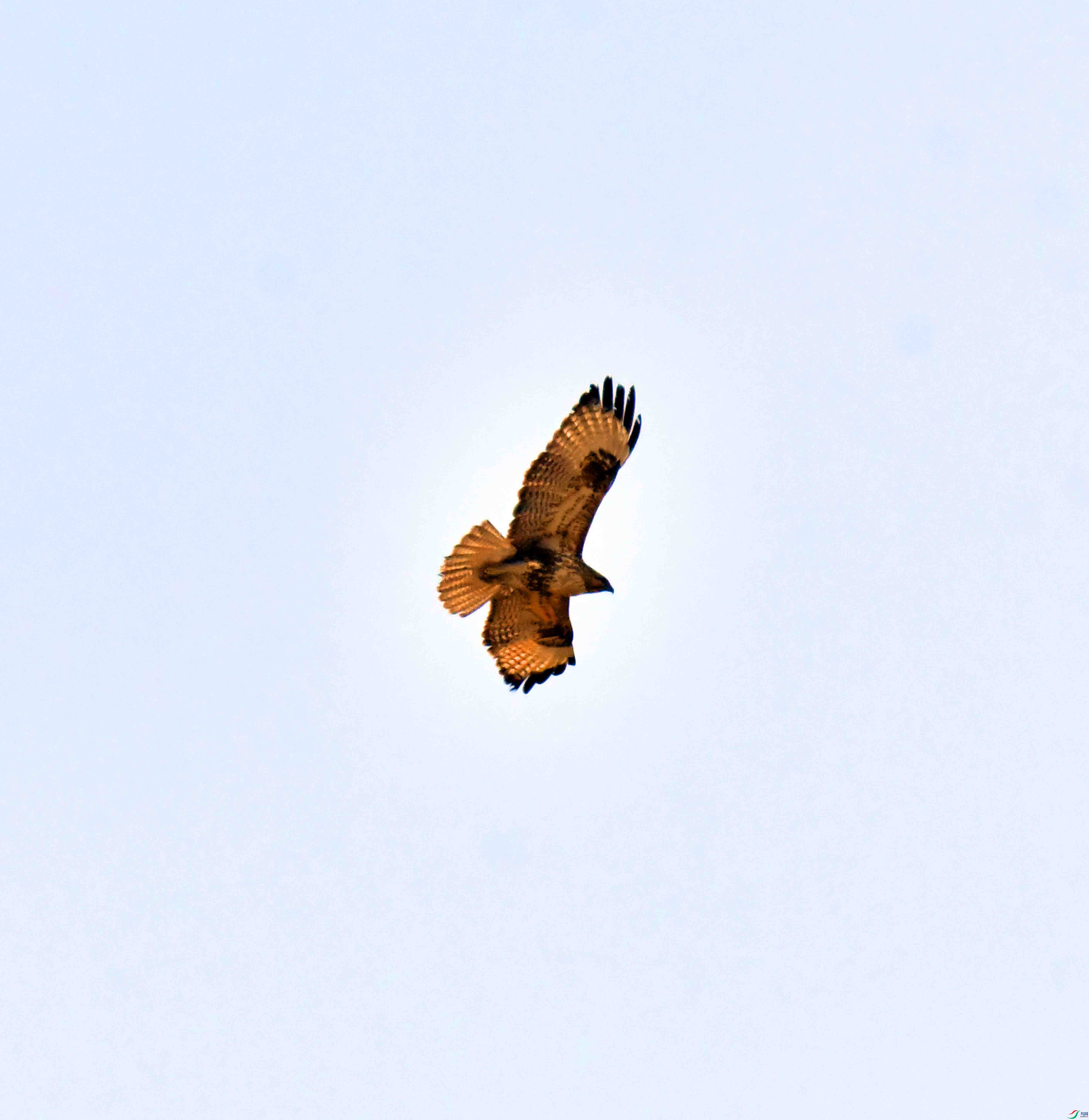 DSC_0752.JPG