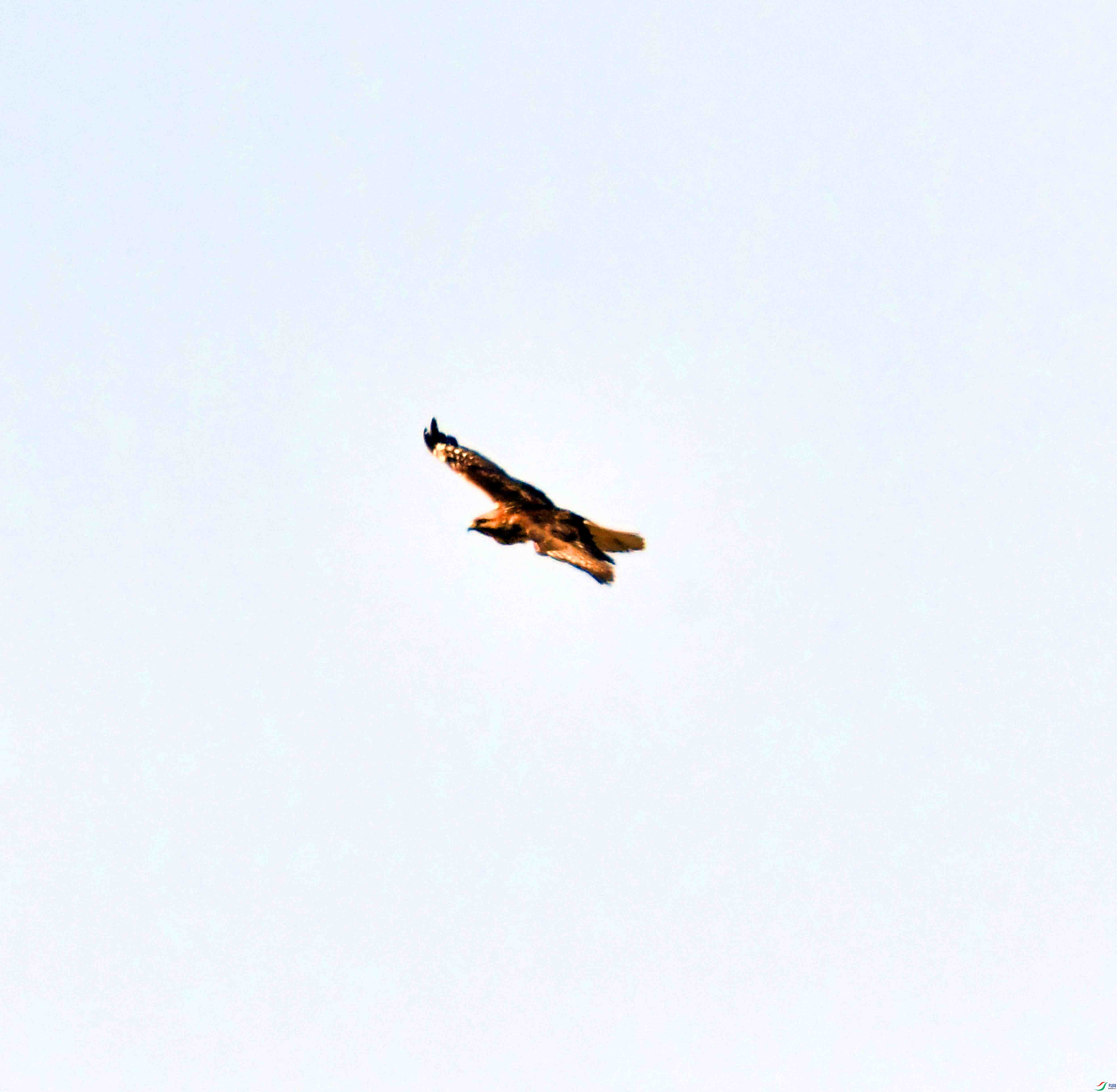 DSC_0761.JPG