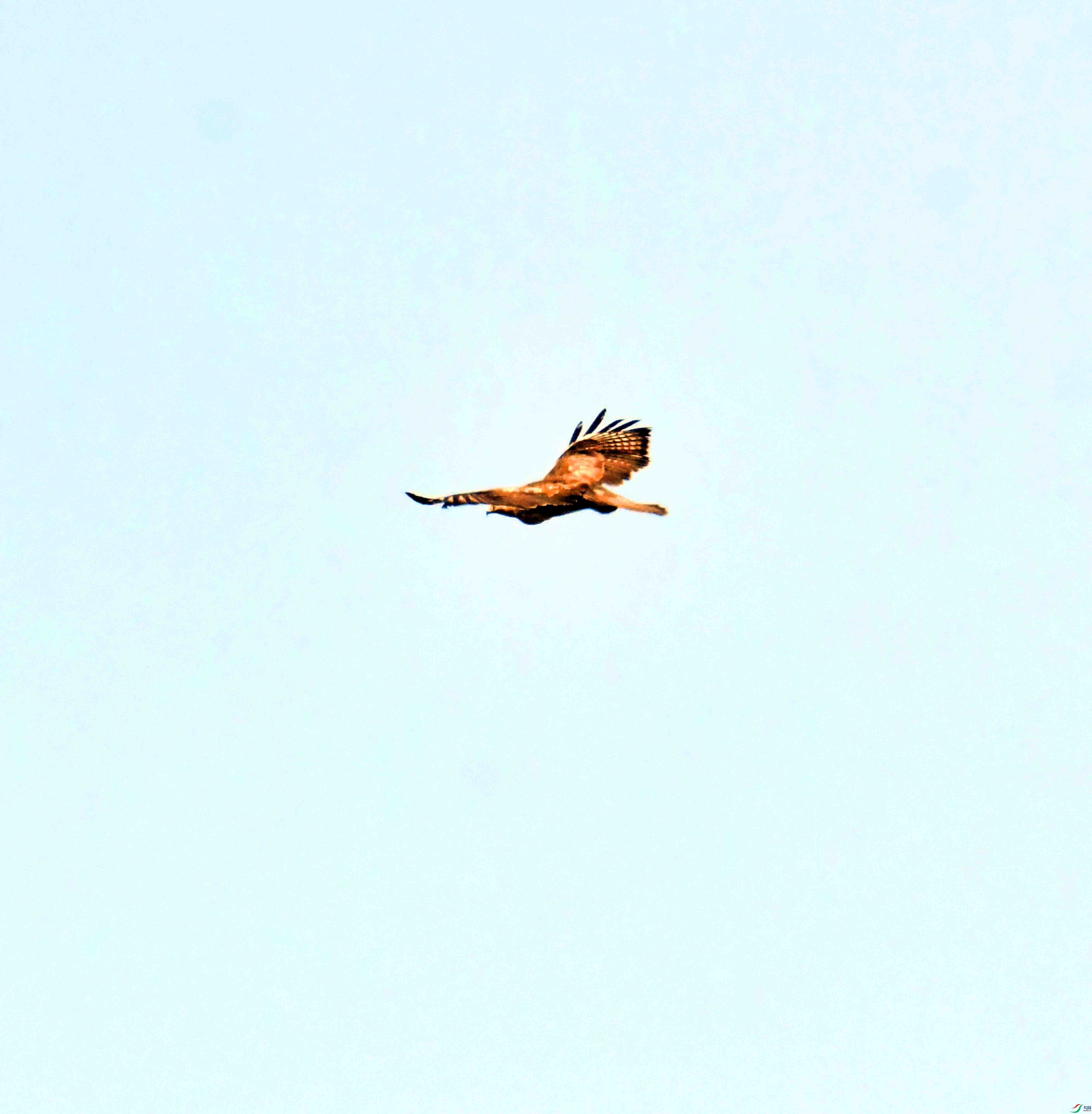 DSC_0759.JPG