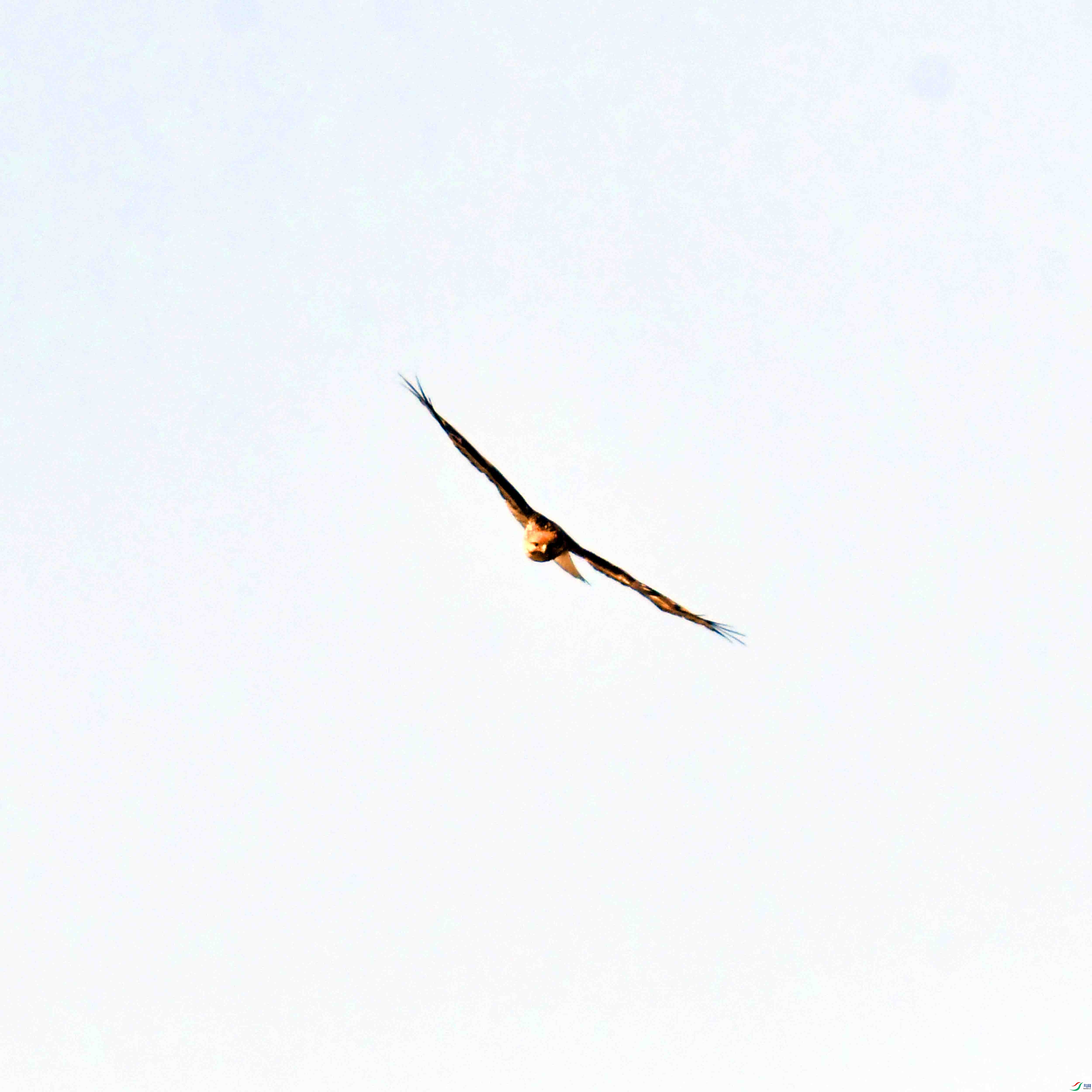 DSC_0764.JPG