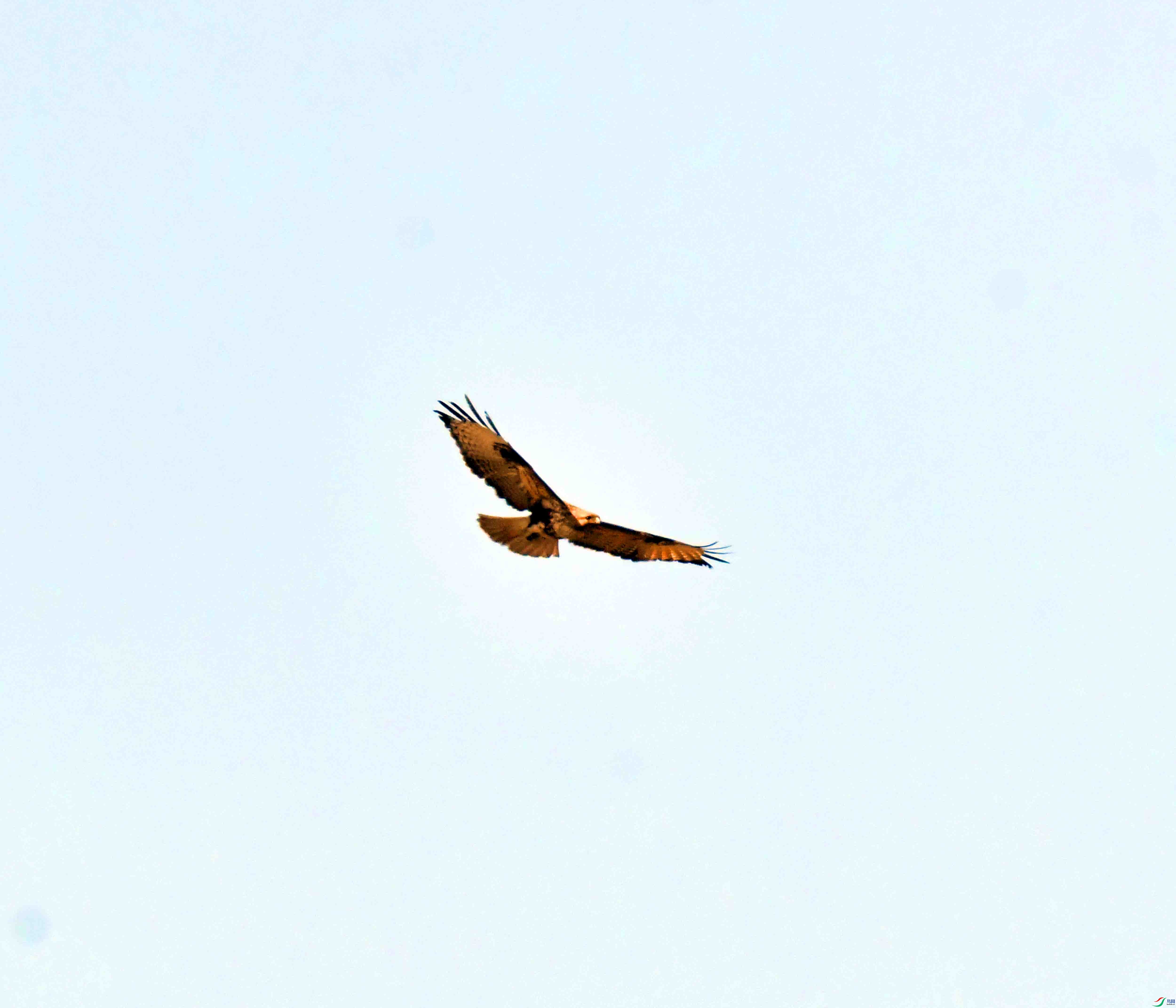 DSC_0766.JPG