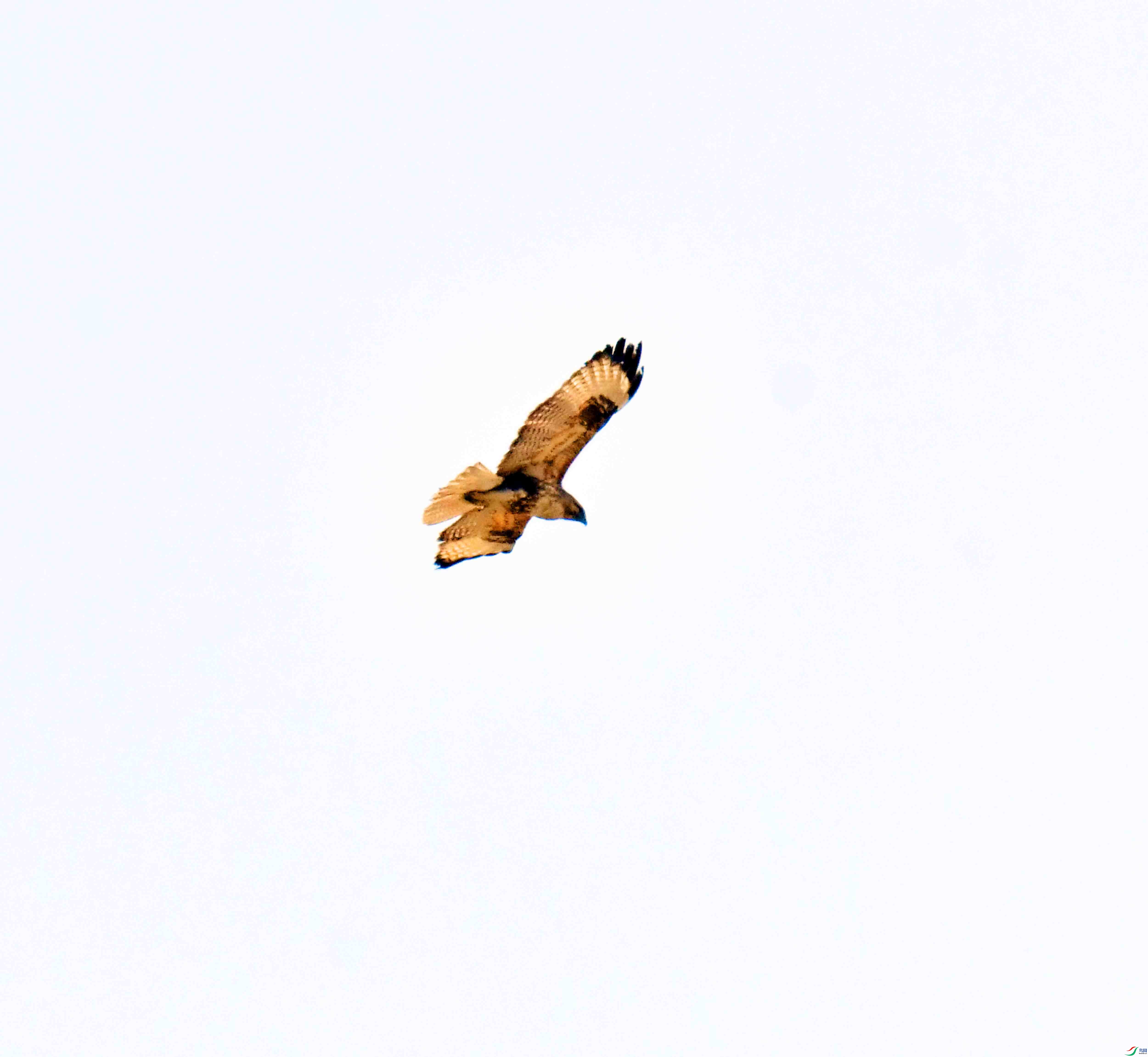 DSC_0771.JPG