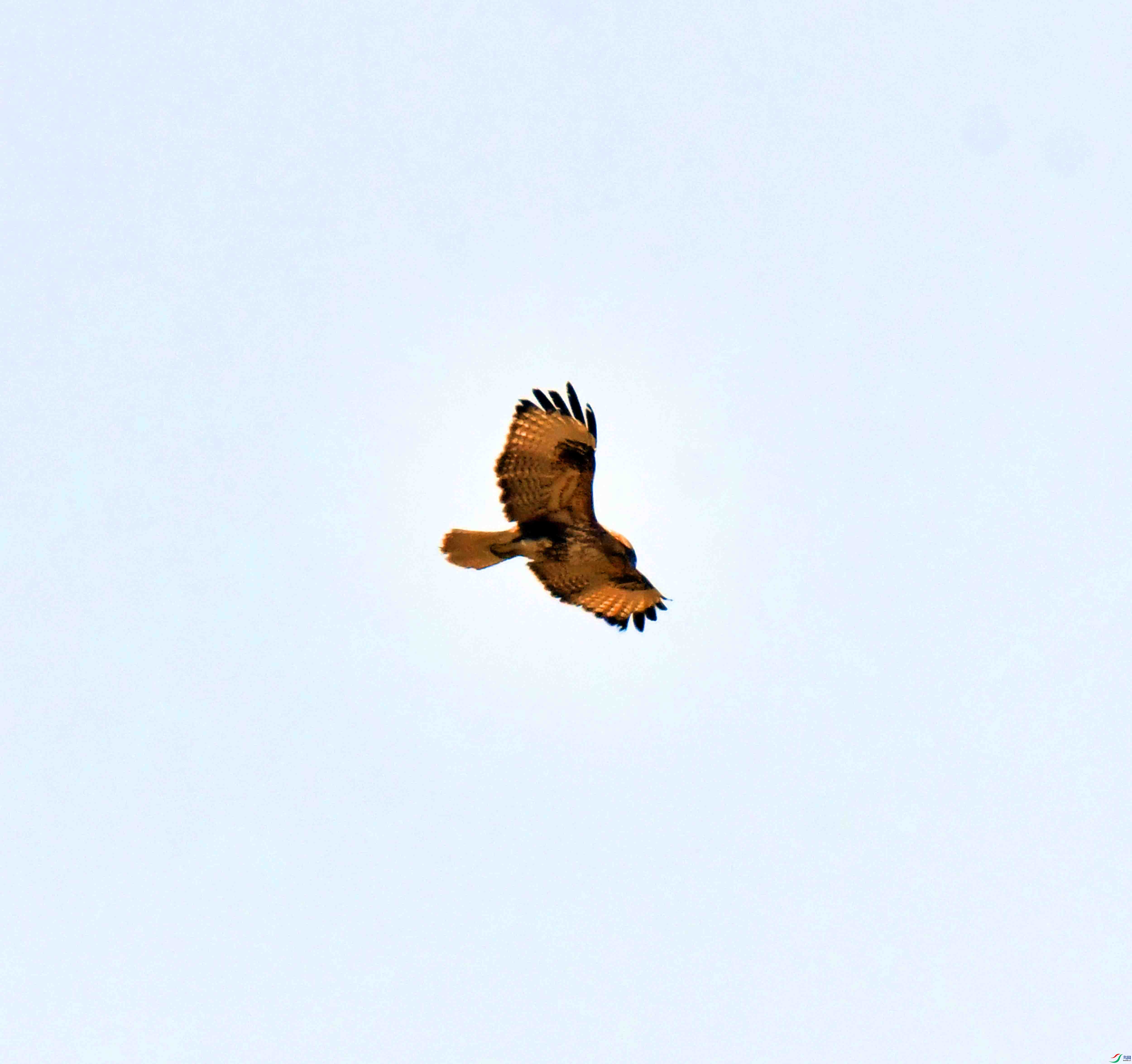 DSC_0770.JPG