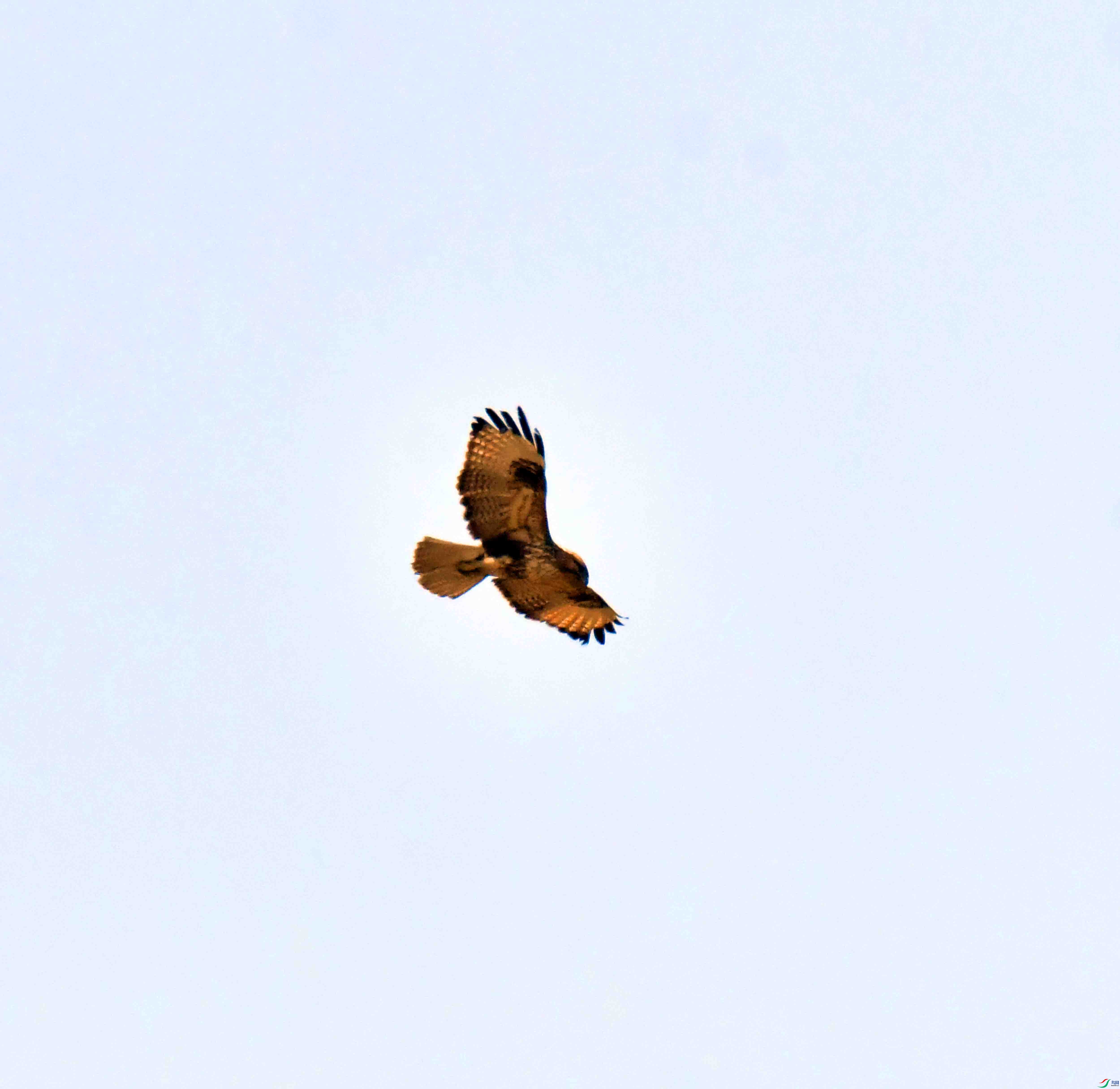 DSC_0769.JPG