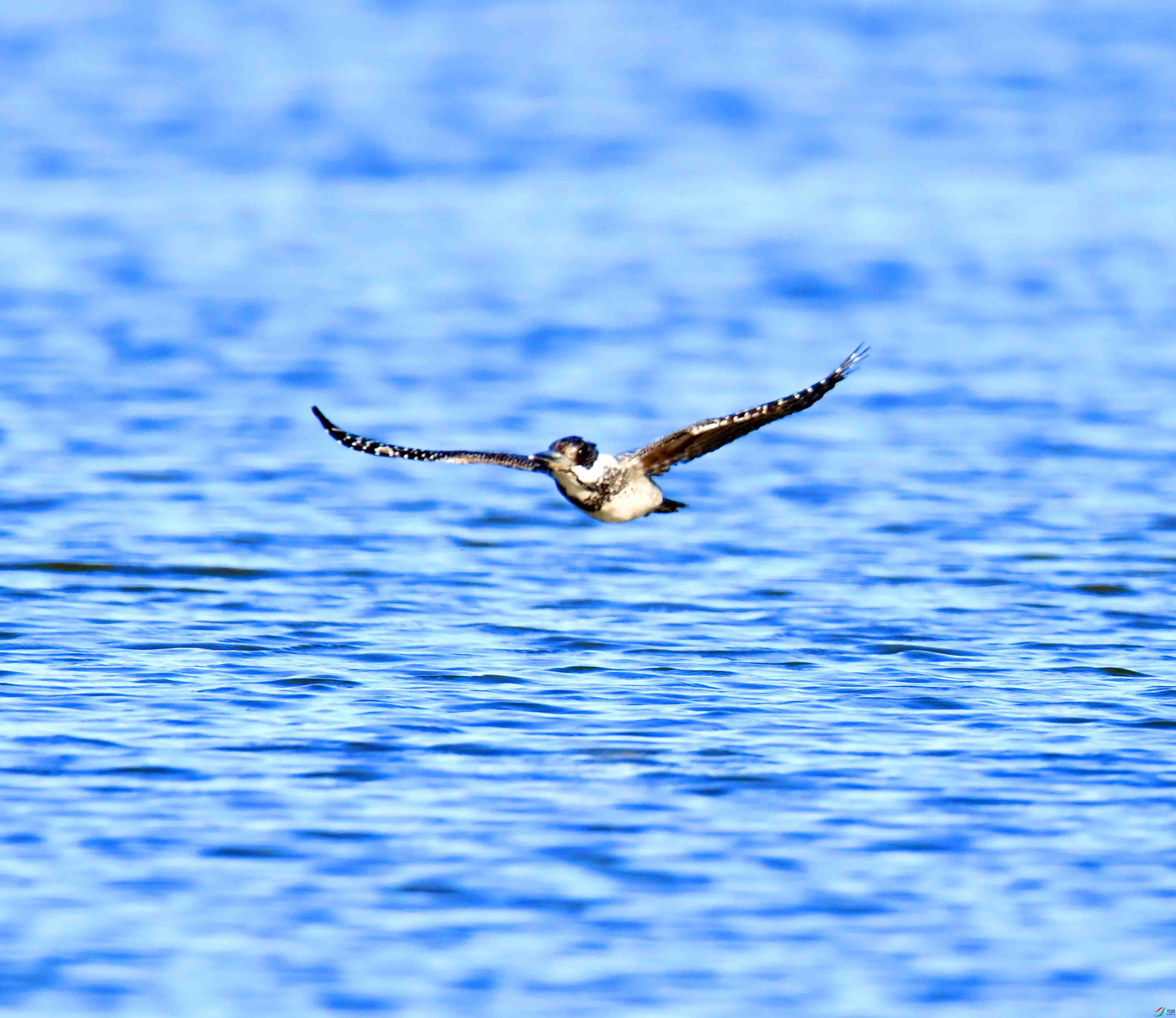 DSC_0381.JPG