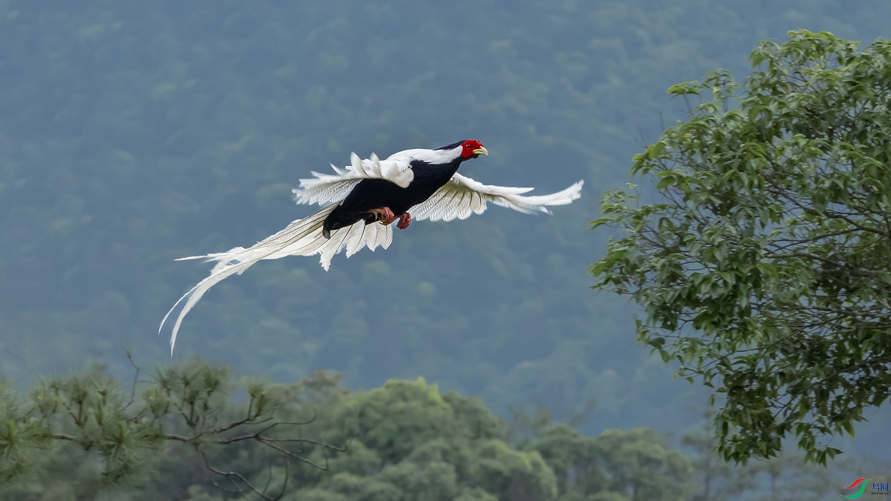 ����----���չ��