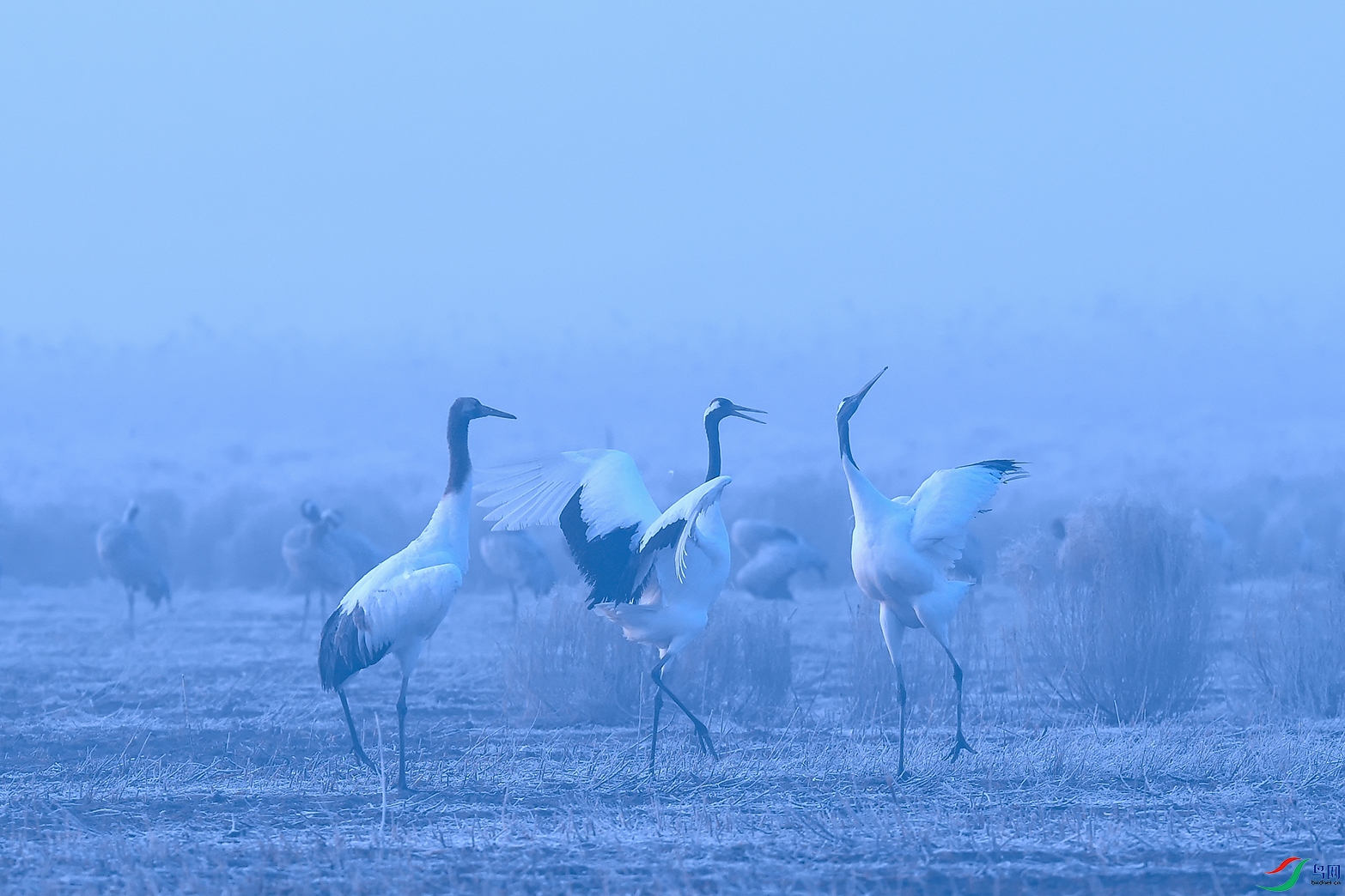 DSC_4057_DxOaa.jpg