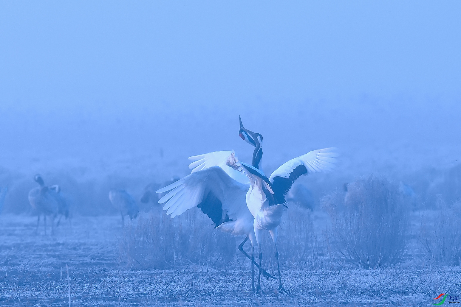 DSC_4052_DxOaa.jpg