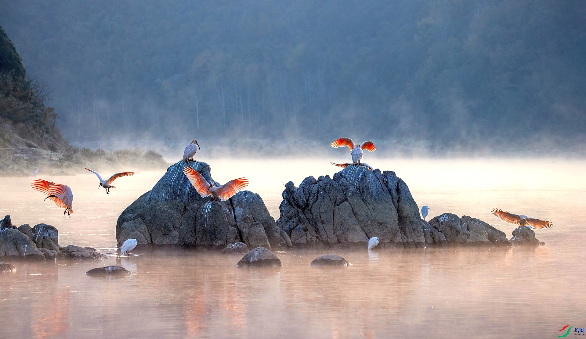 _07A9920 ����-Sh---1+.jpg