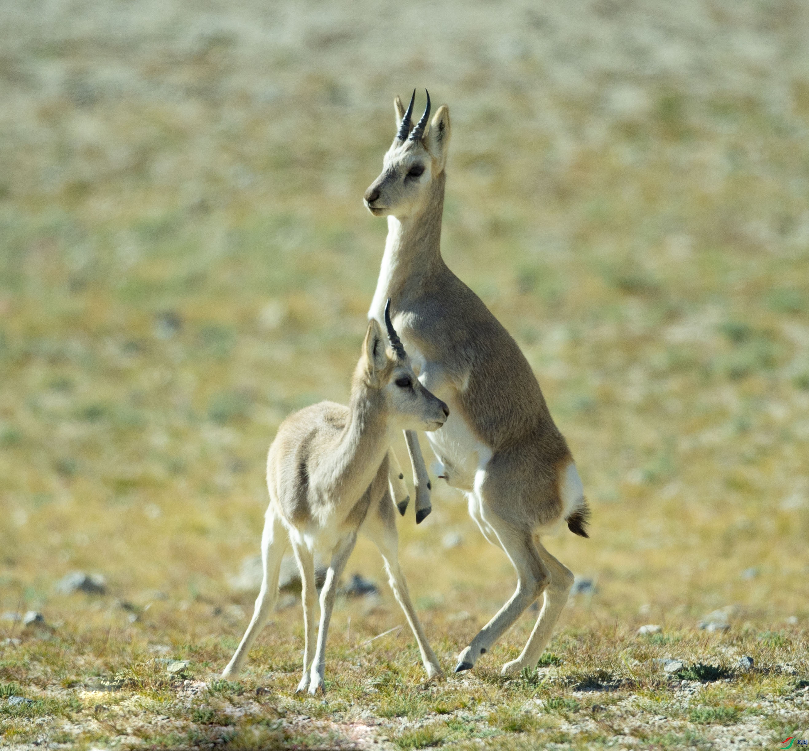 _DSC9464.jpg