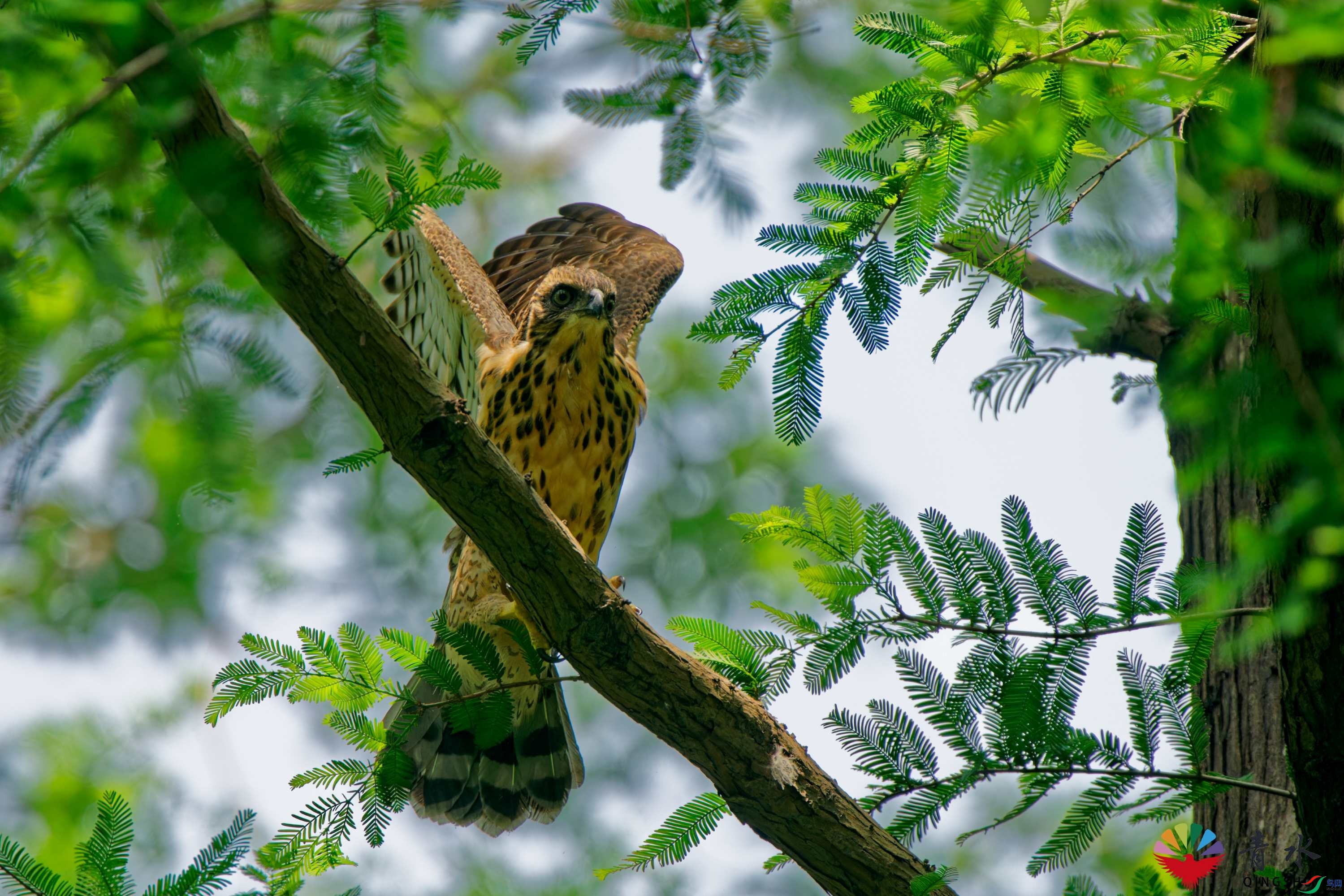 DSC01424_DxO.jpg