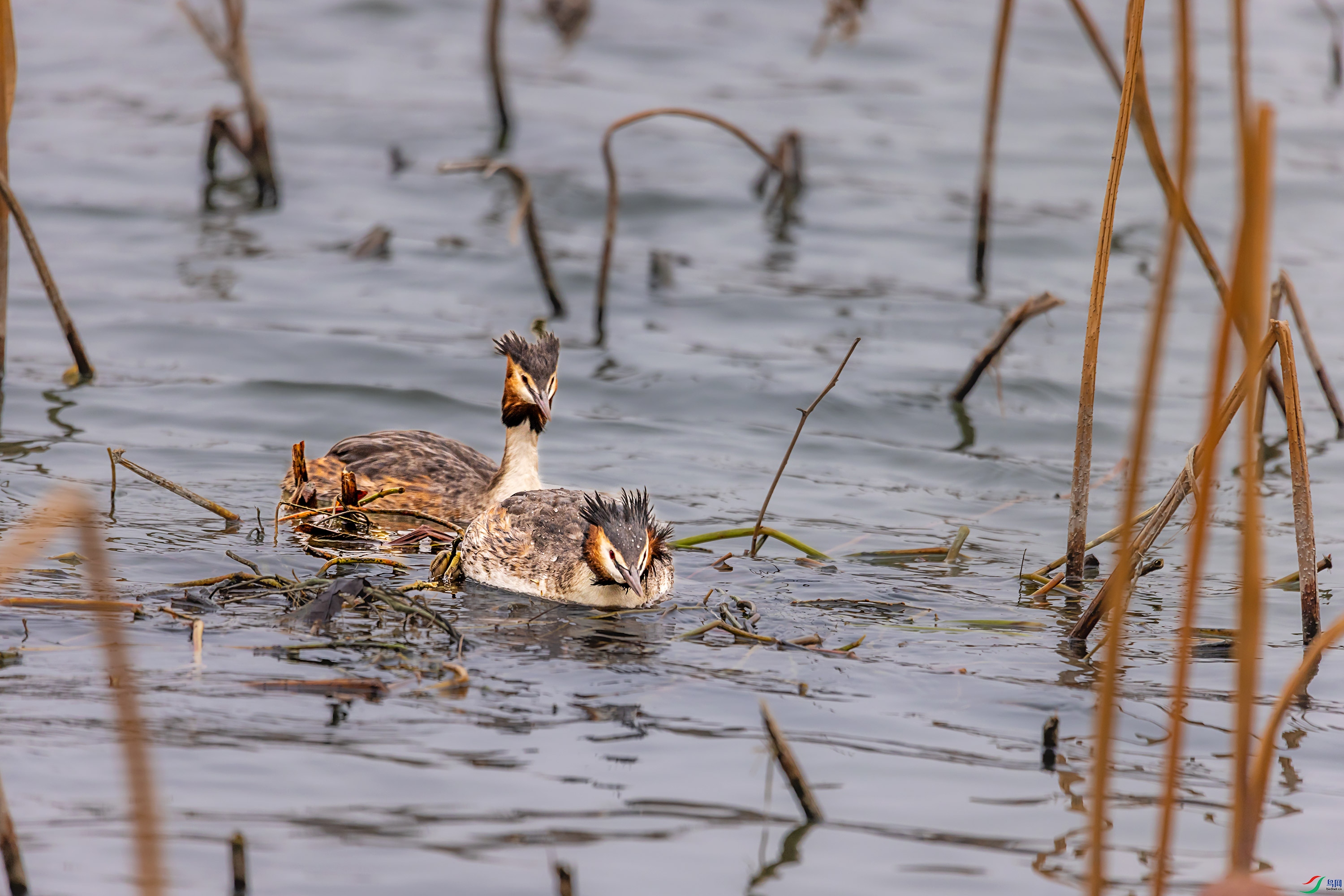 278A2682.jpg