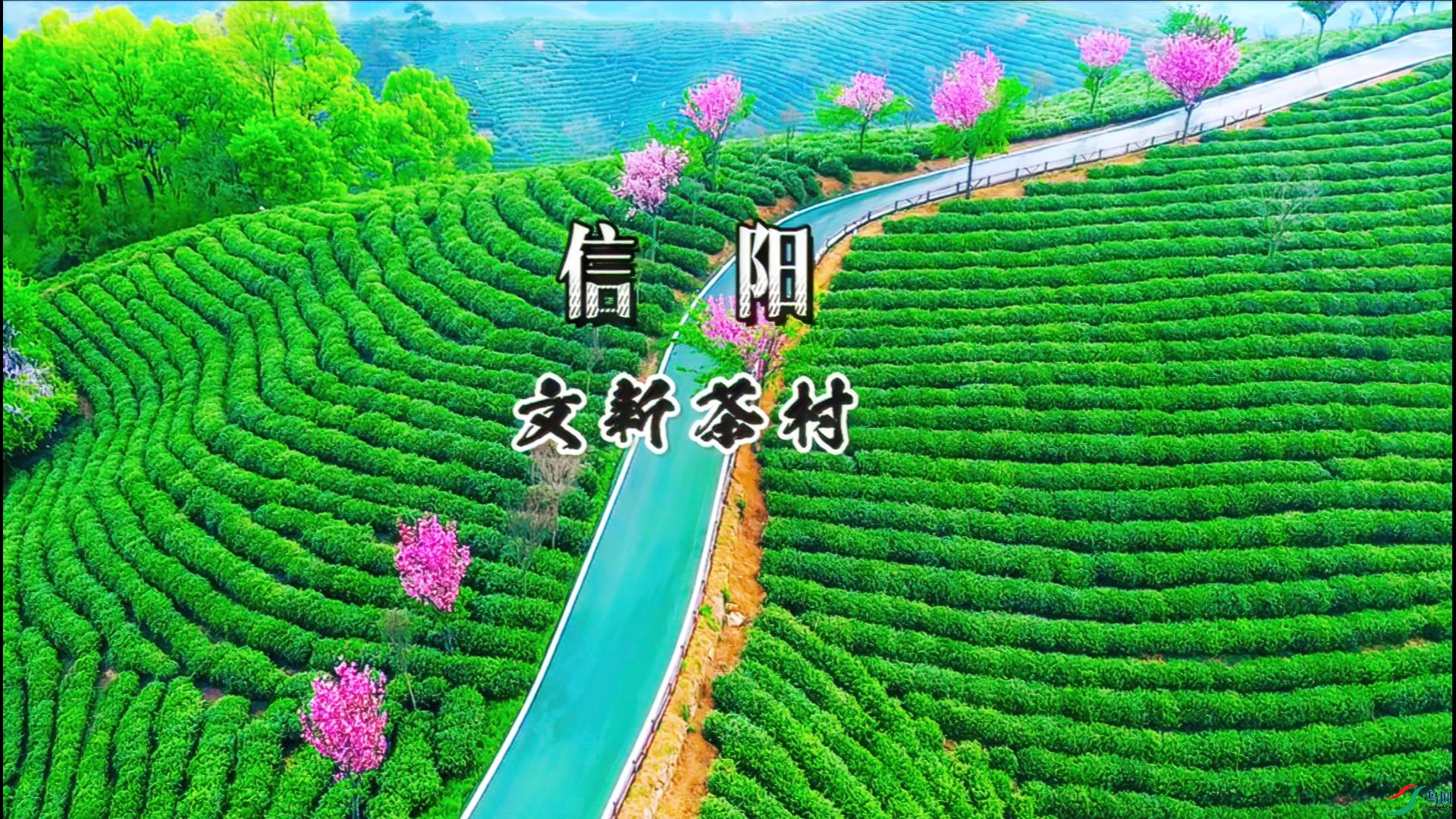 �������²��