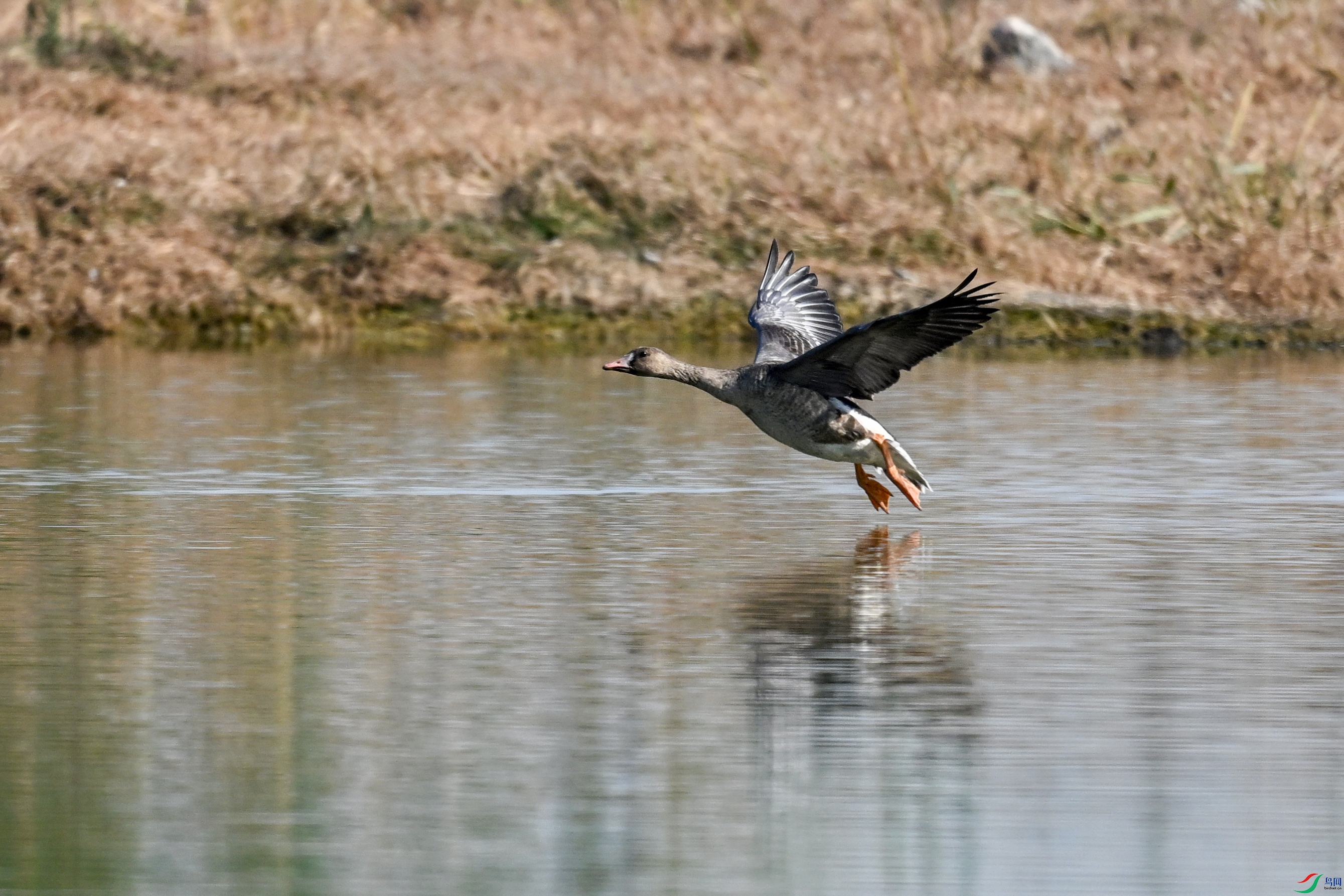 DSC_8015.JPG