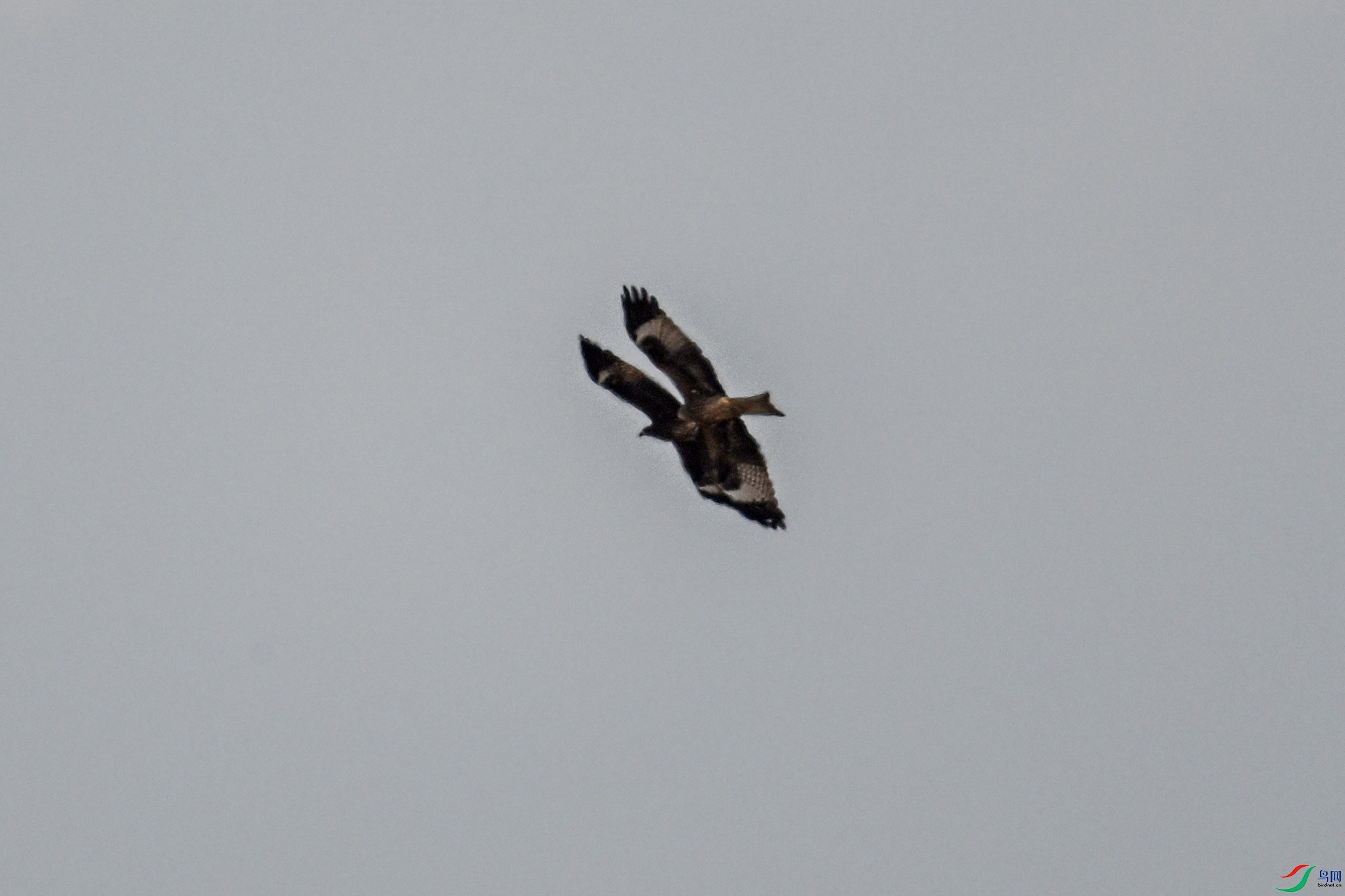 DSC_8113.JPG