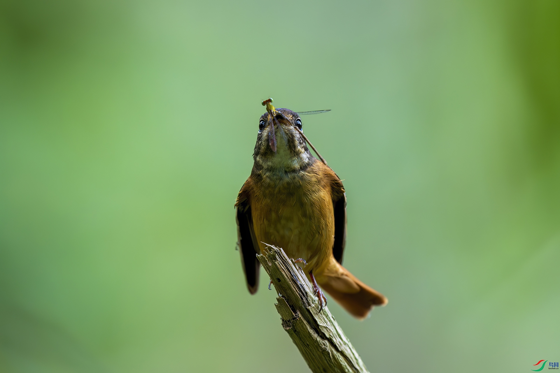 ��β���l�����