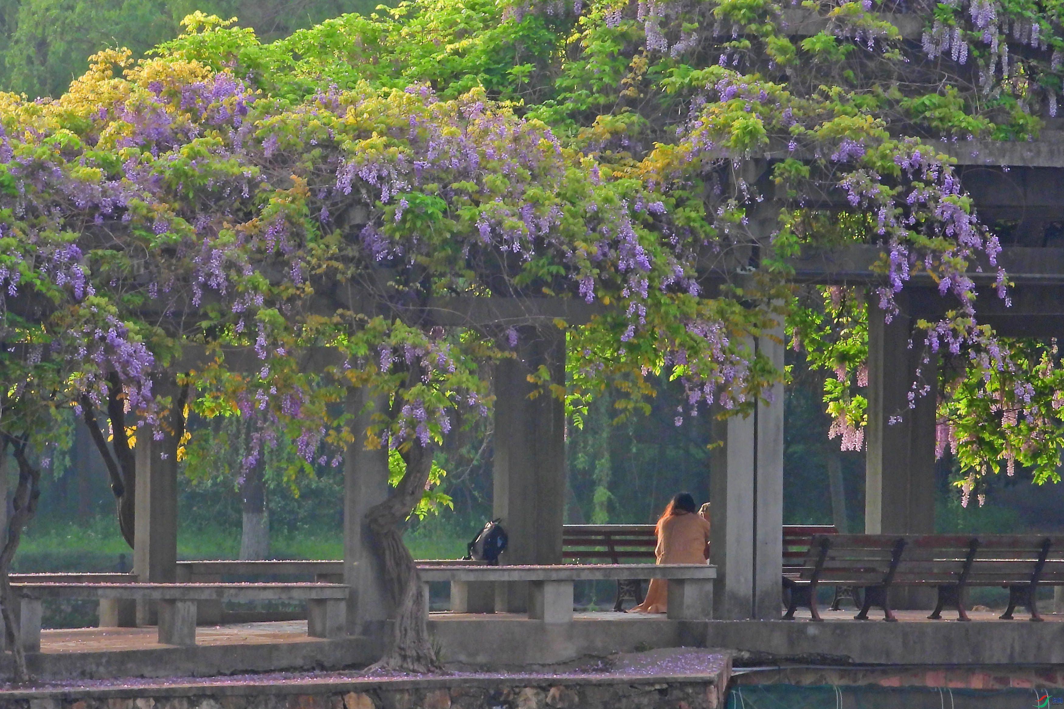 DSCN5566.JPG
