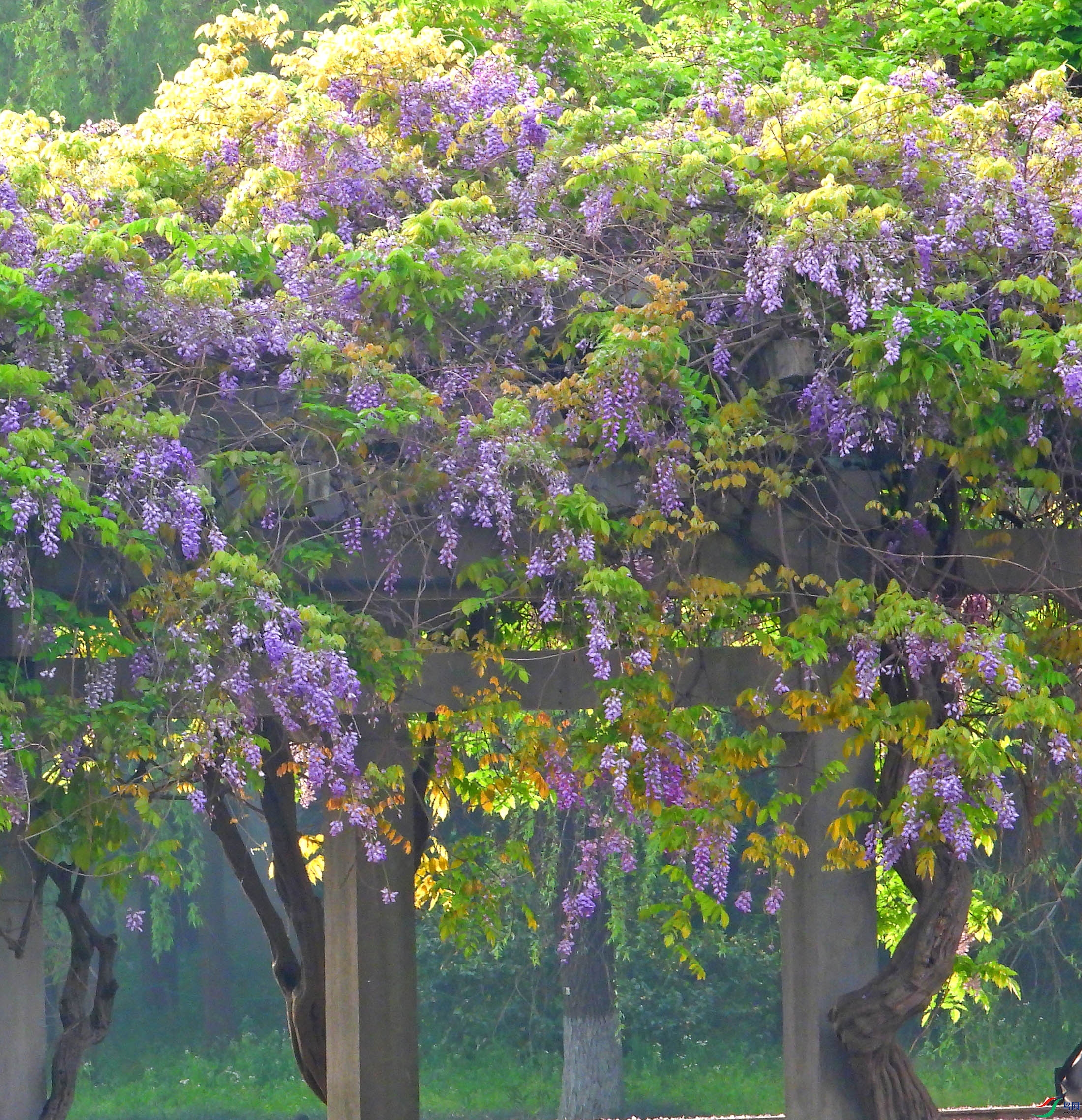 DSCN5568.JPG