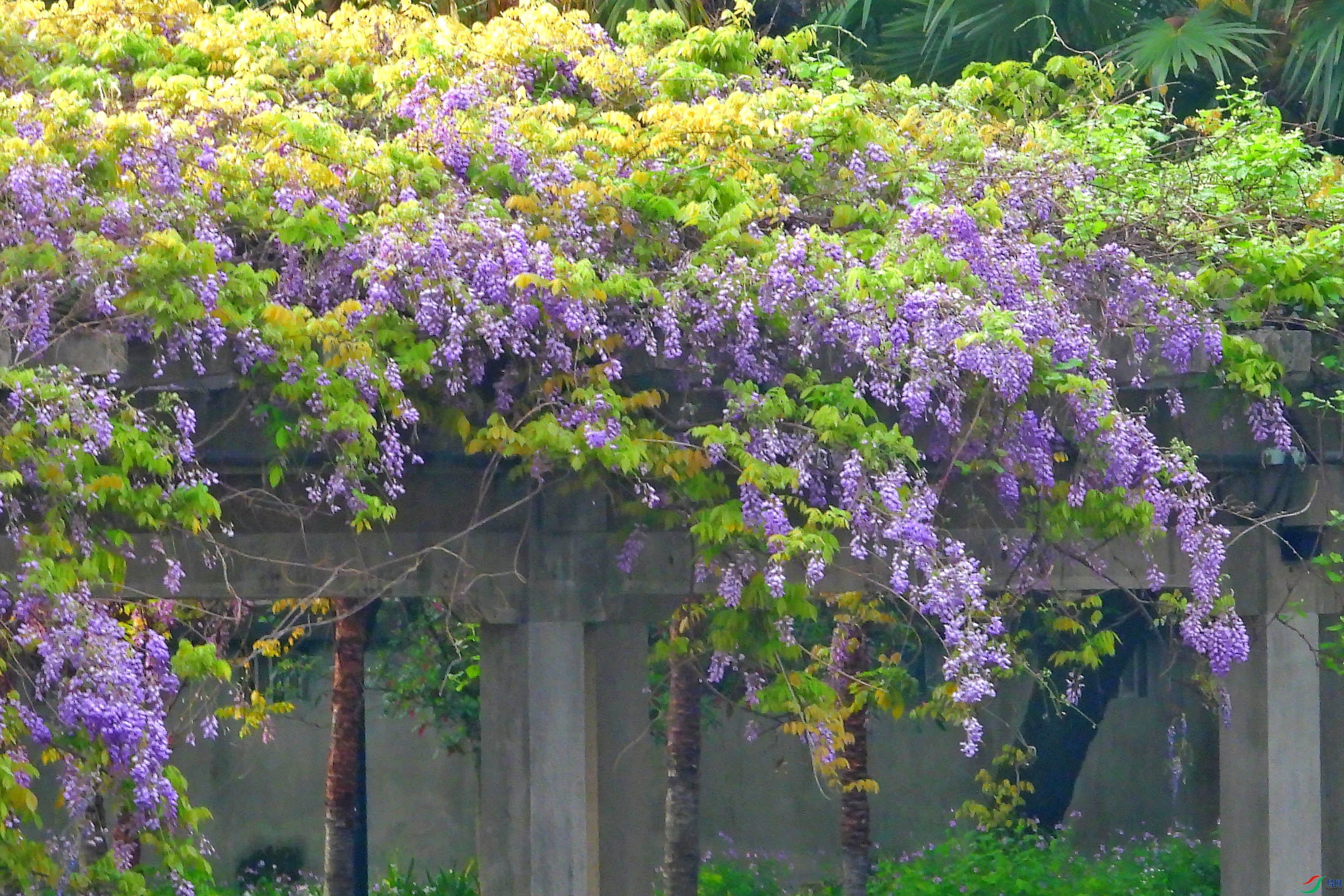 DSCN5576.JPG