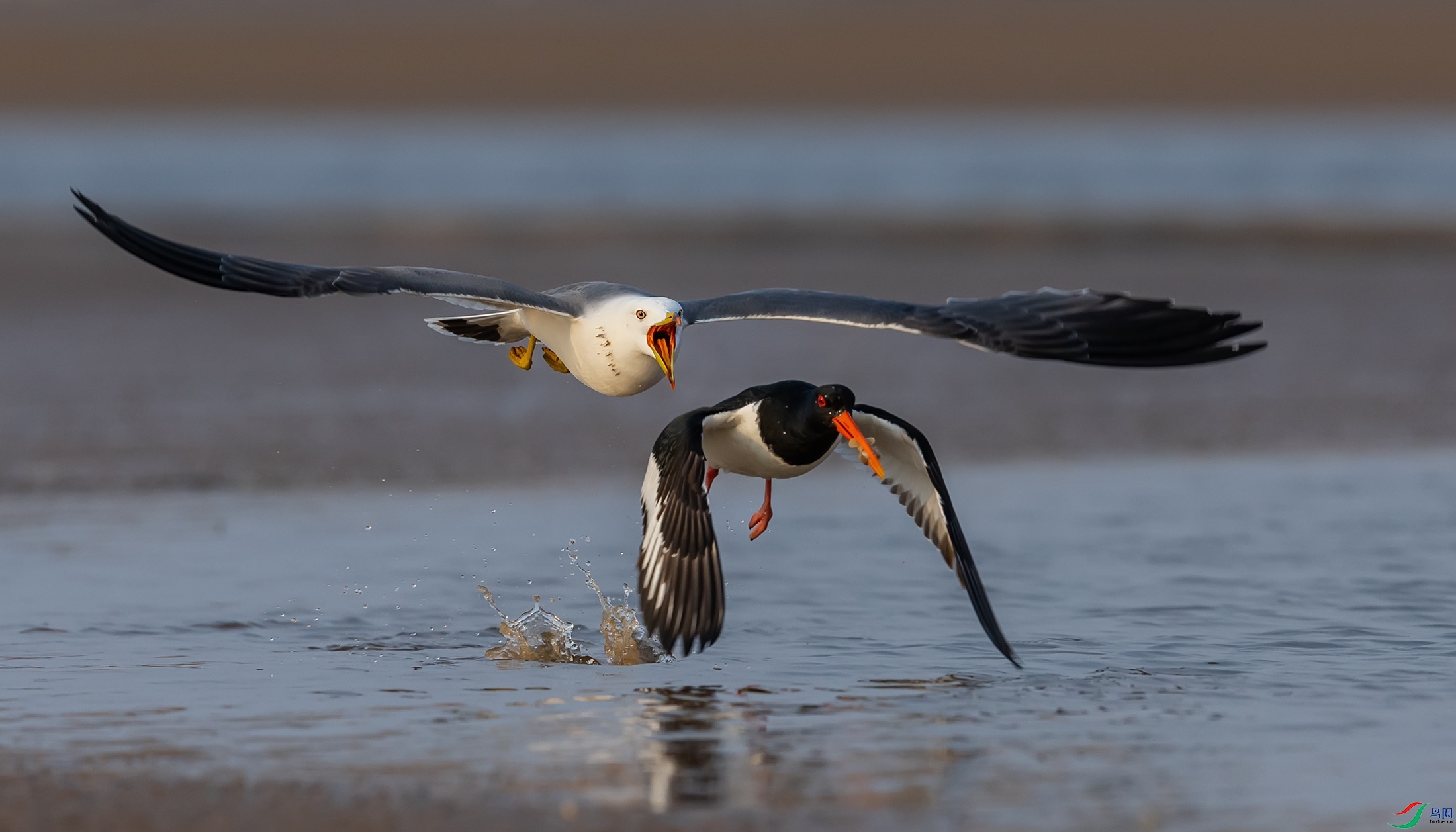 ��βŸ������