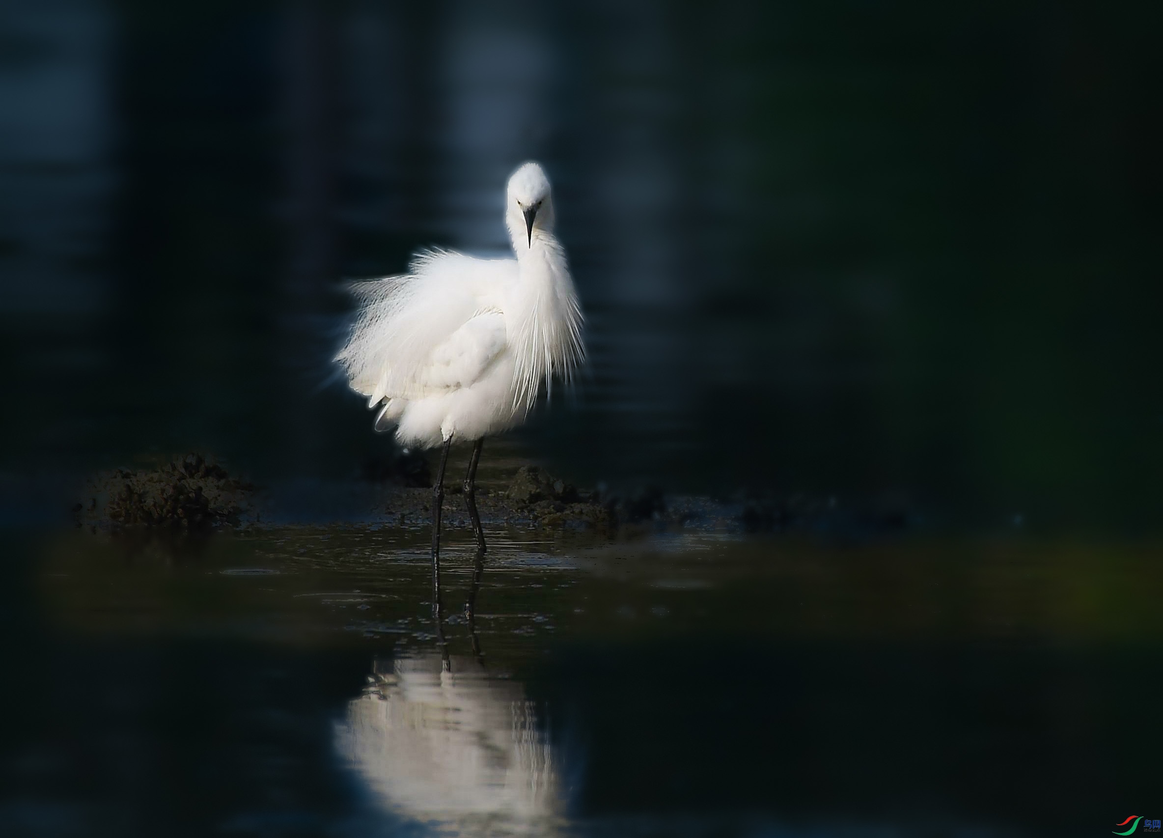 DSC_5540_---����.jpg